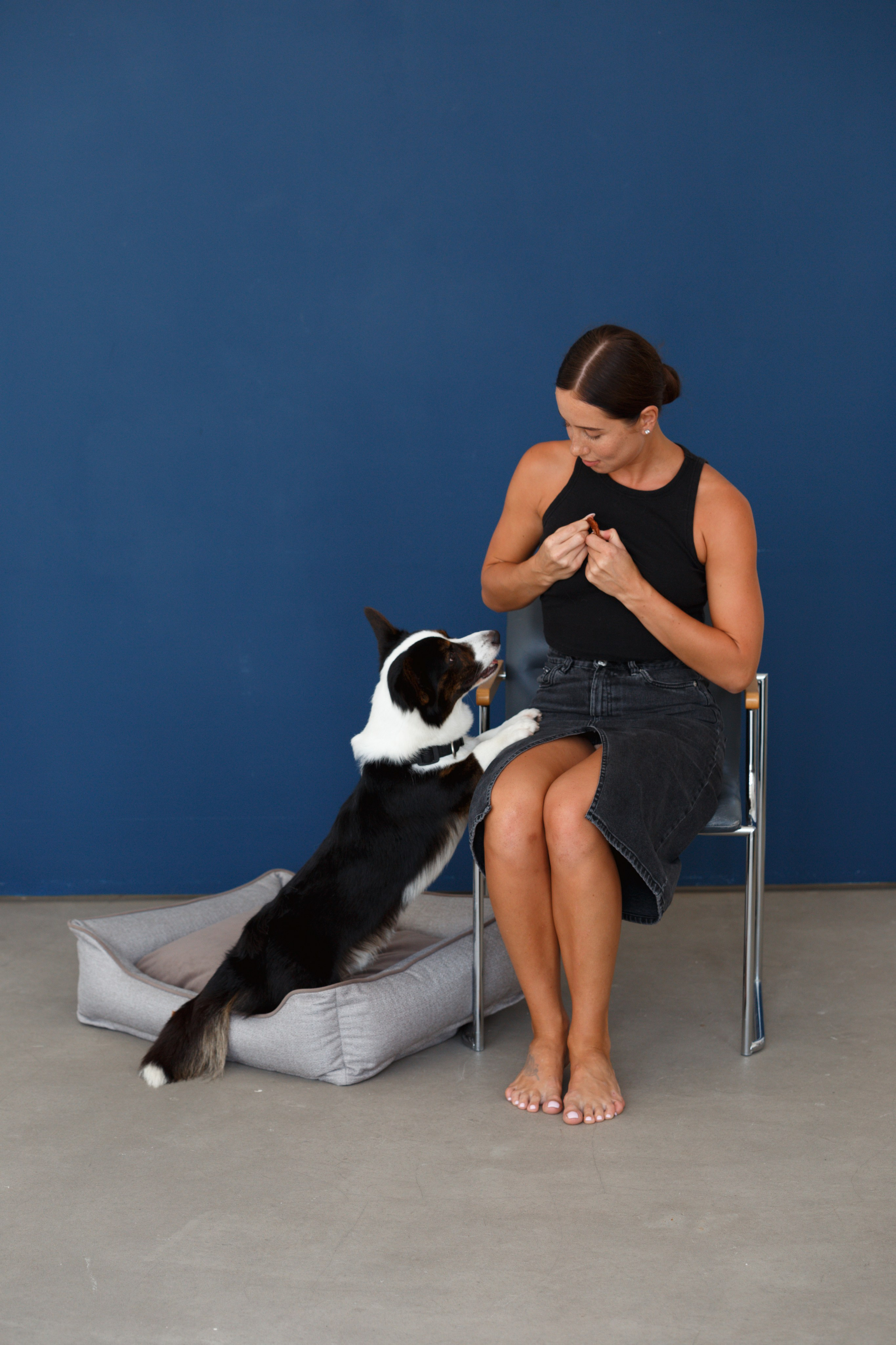 Boonwood Pets лежанки для животных. Фотограф анималист Кристина Карпова, Москва