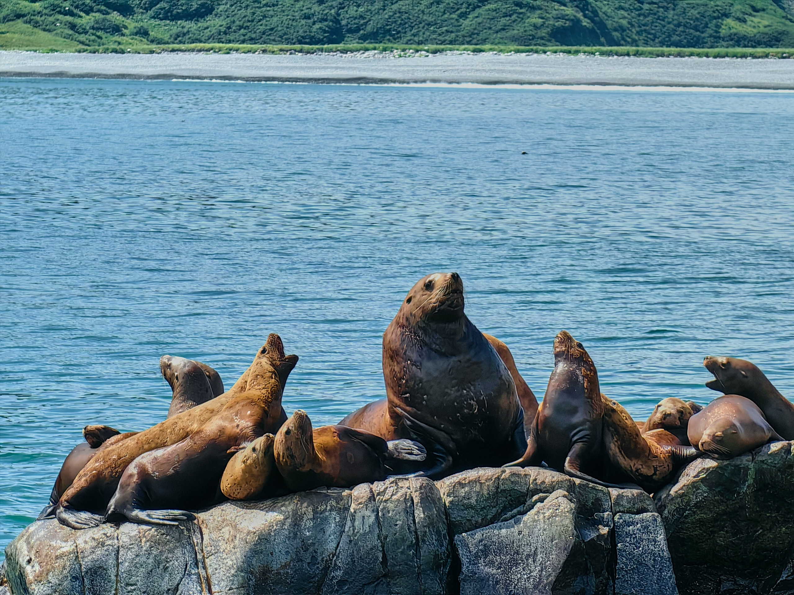 Камчатка. Travel-фотограф Ирина Милинцова