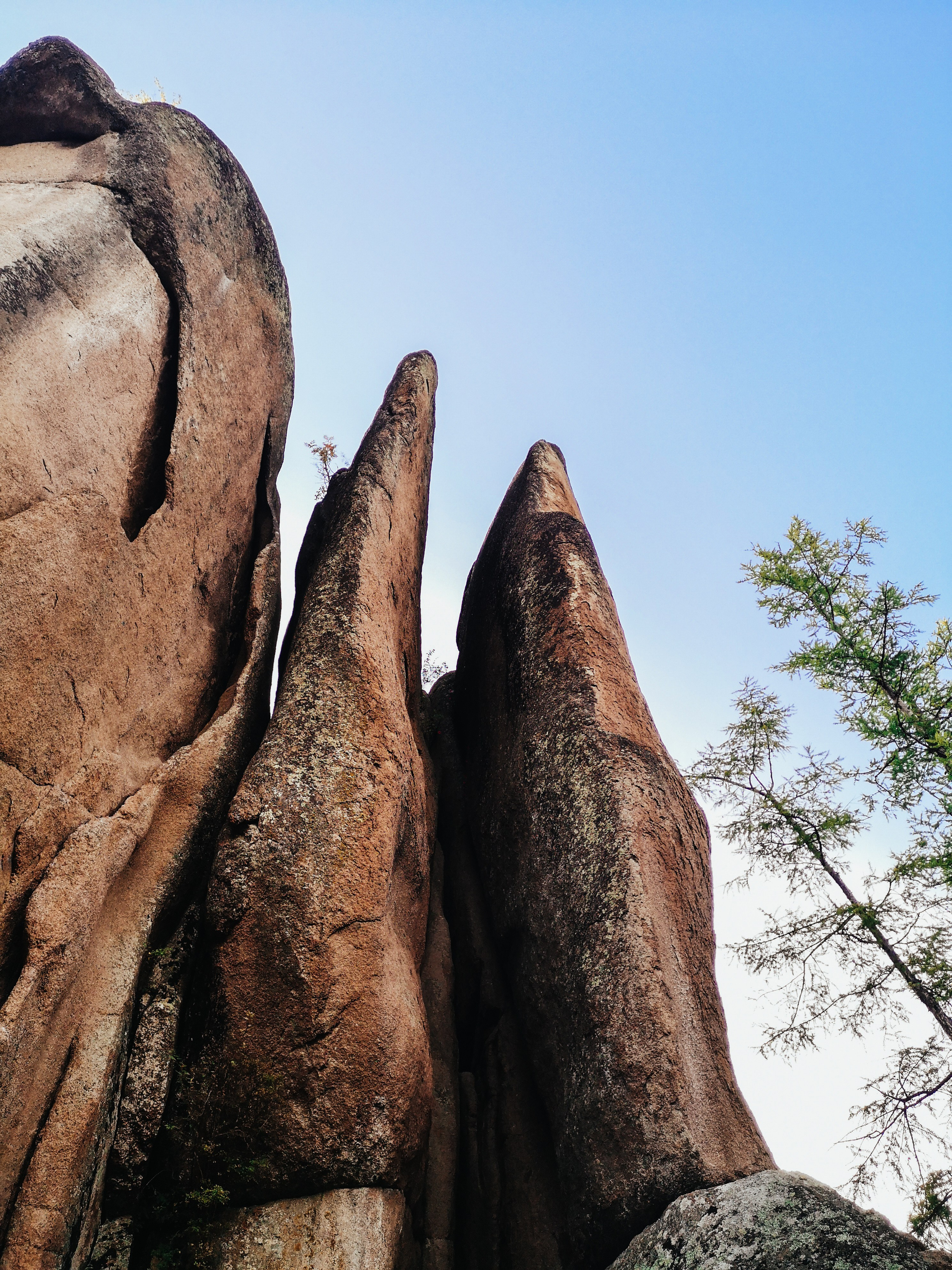 Красноярские столбы. Travel-фотограф Ирина Милинцова