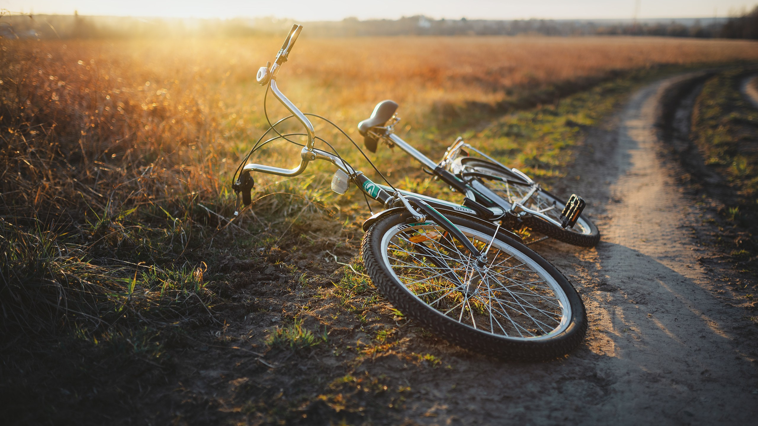 Невидимый спектр. Komonev