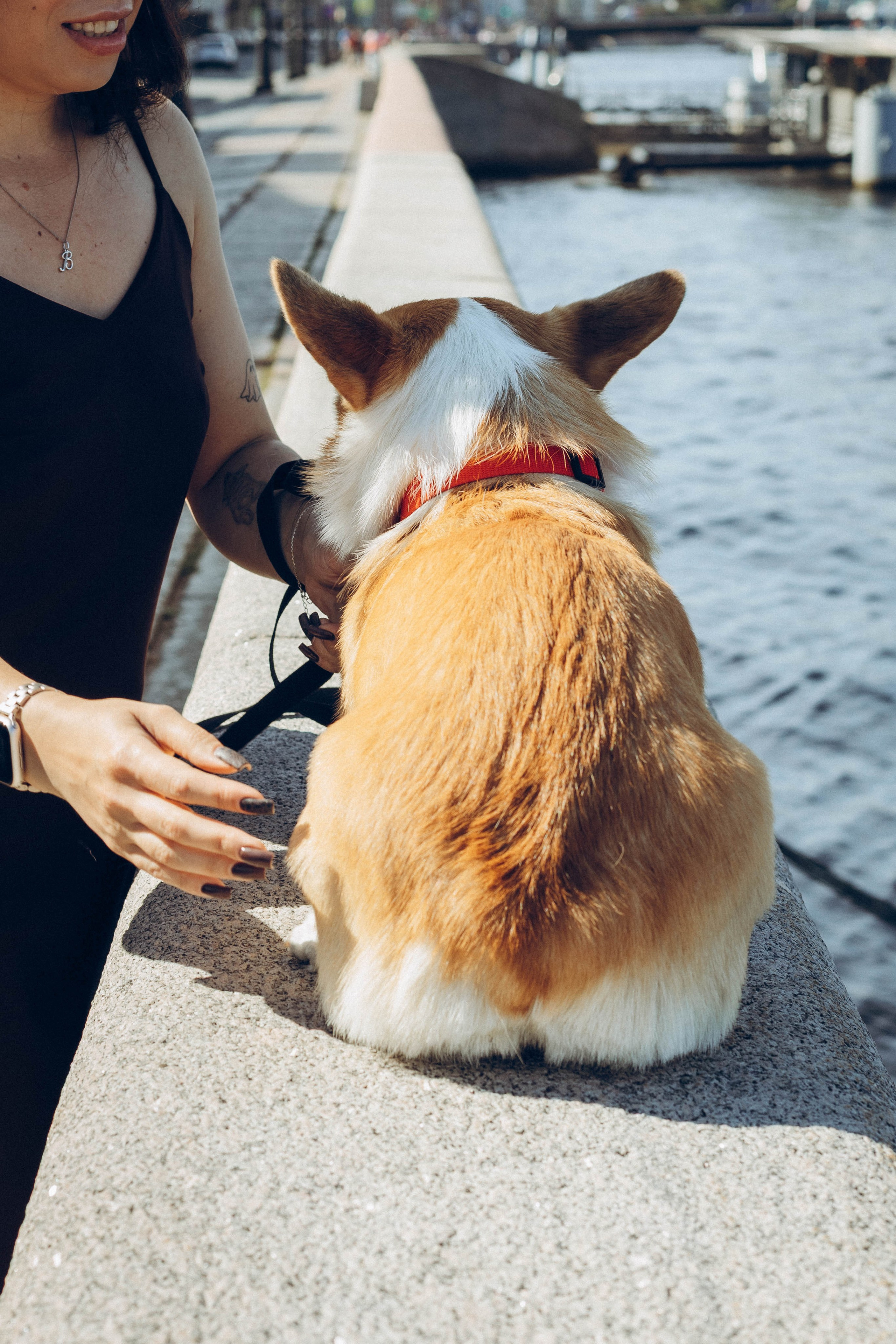 Фотосессия с собакой. Фотограф в Санкт-Петербурге Полина