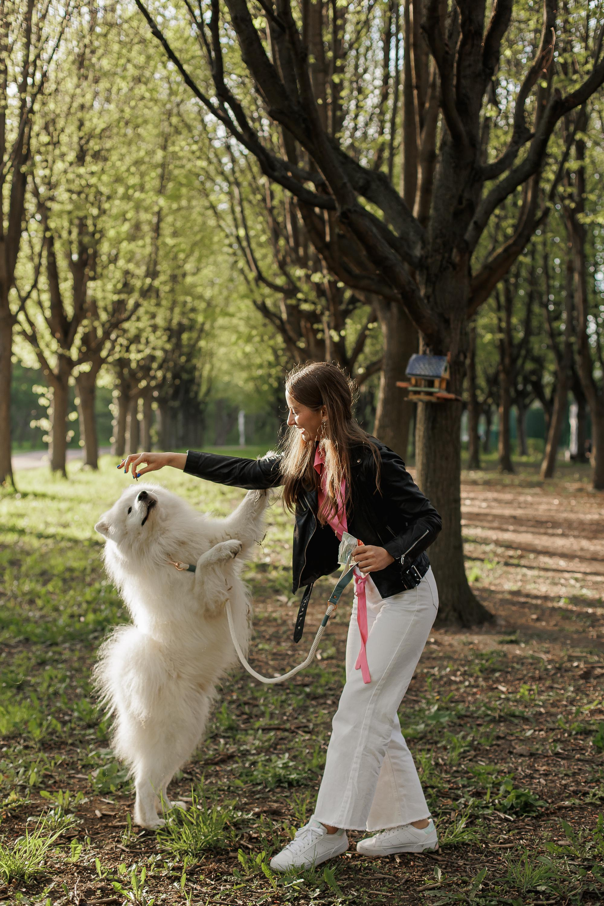 Даша и Влад — предсвадебная лавстори
