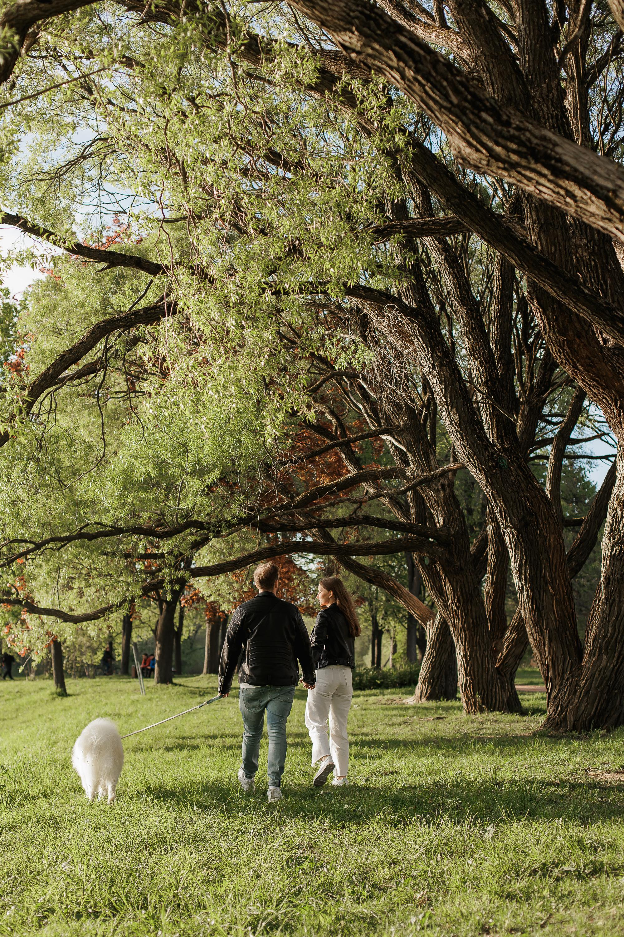 Даша и Влад — предсвадебная лавстори