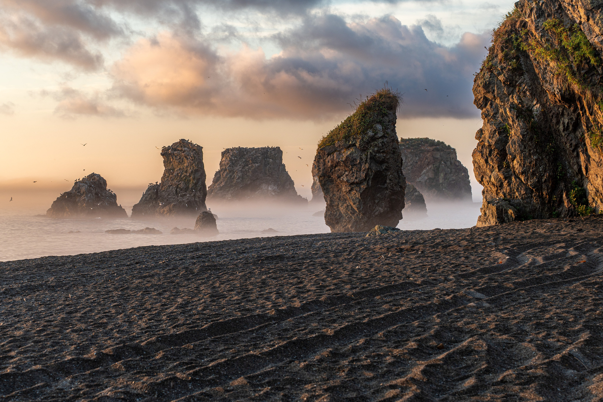 Сахалин 2025. Творческие сьемки