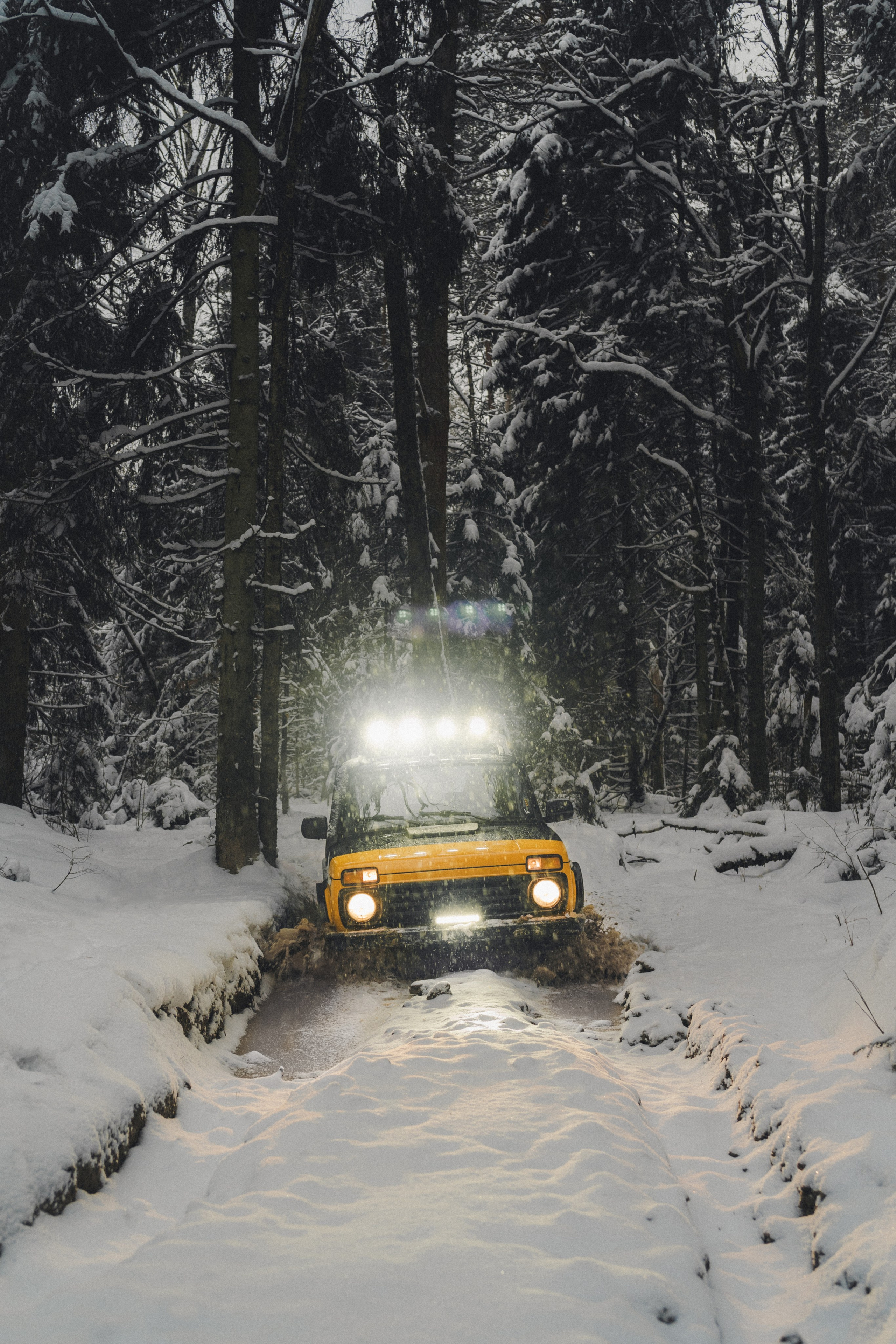 Niva Bronto (Nessie) x FAUNO. Фотограф Илья К. в Москве