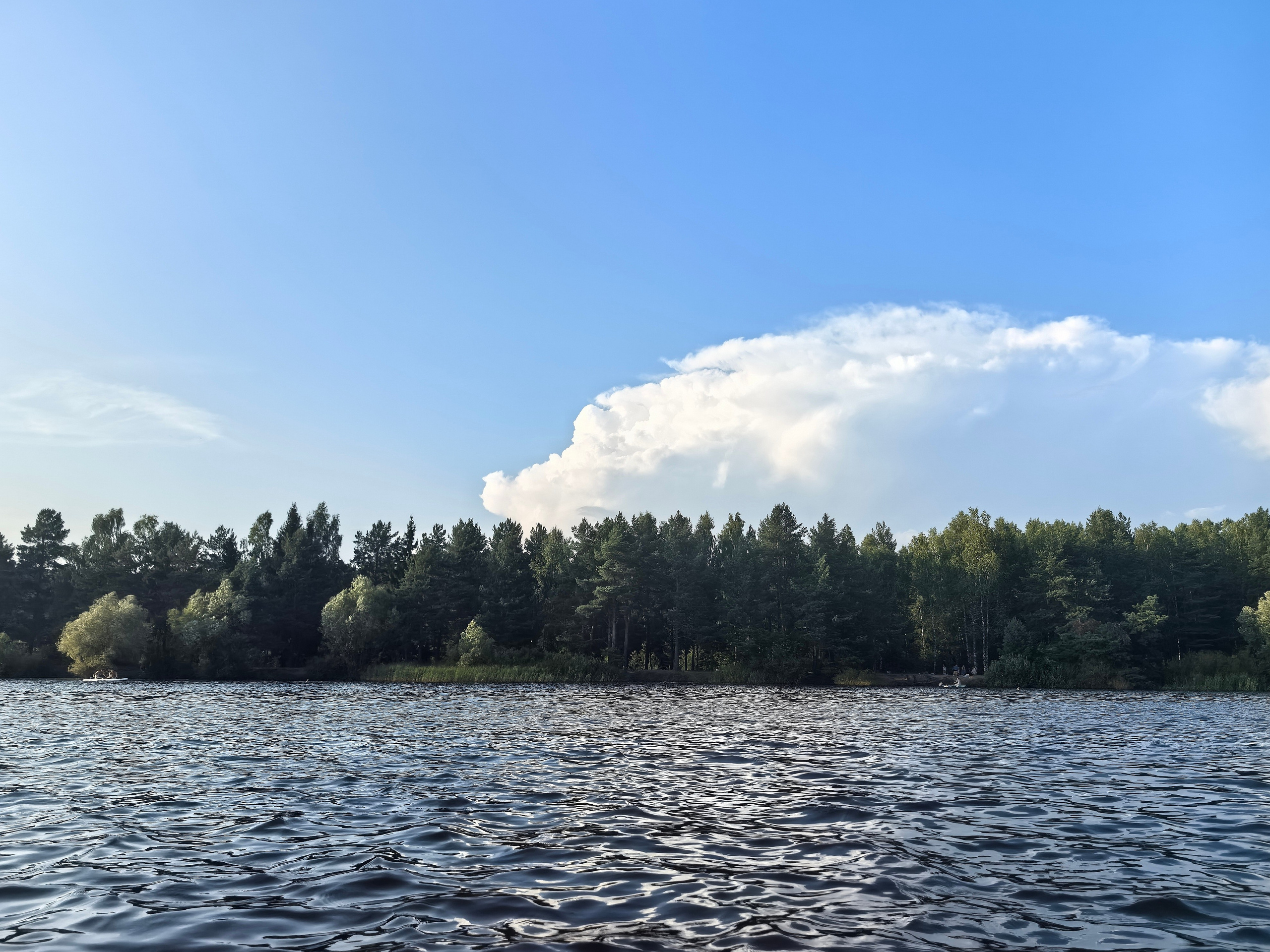 Чудесная природа. Школьные выпускные альбомы в Москве Марина Николаева