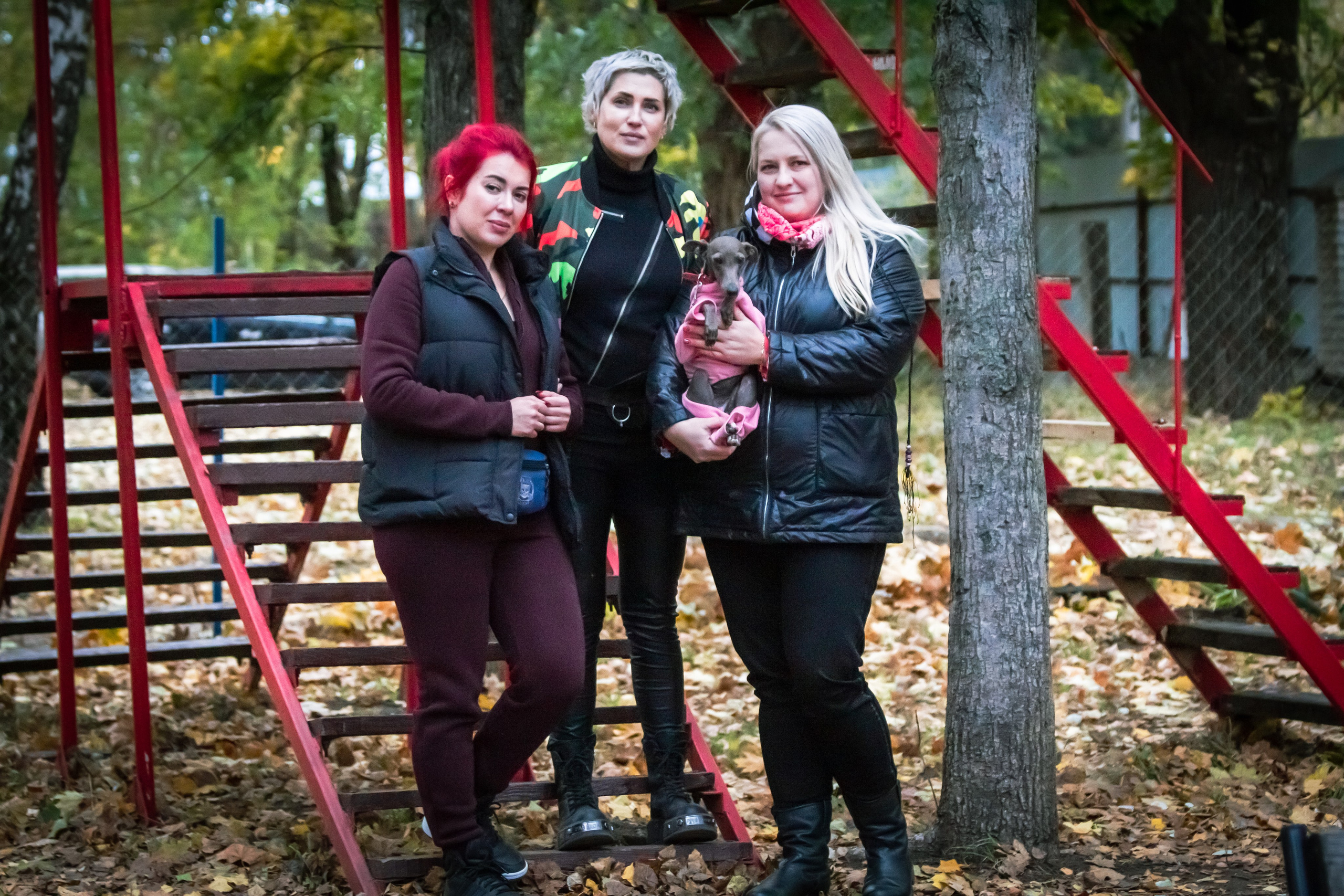 Костюмированный парад собак. Фотограф анималист — Тула, Москва