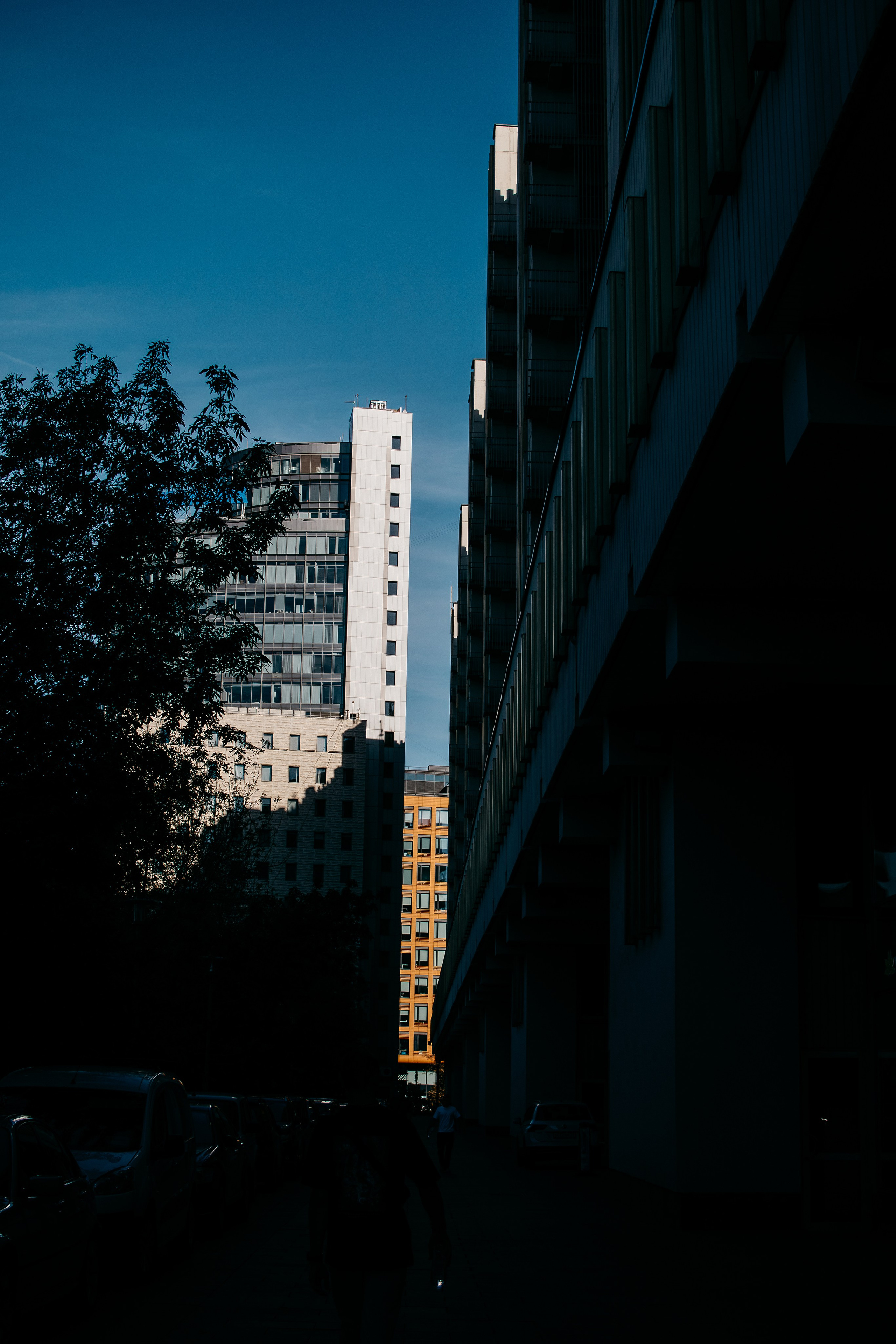 Untitled. Свадебный и Event фотограф в Москве | Андрей Губренко | Gubrenko