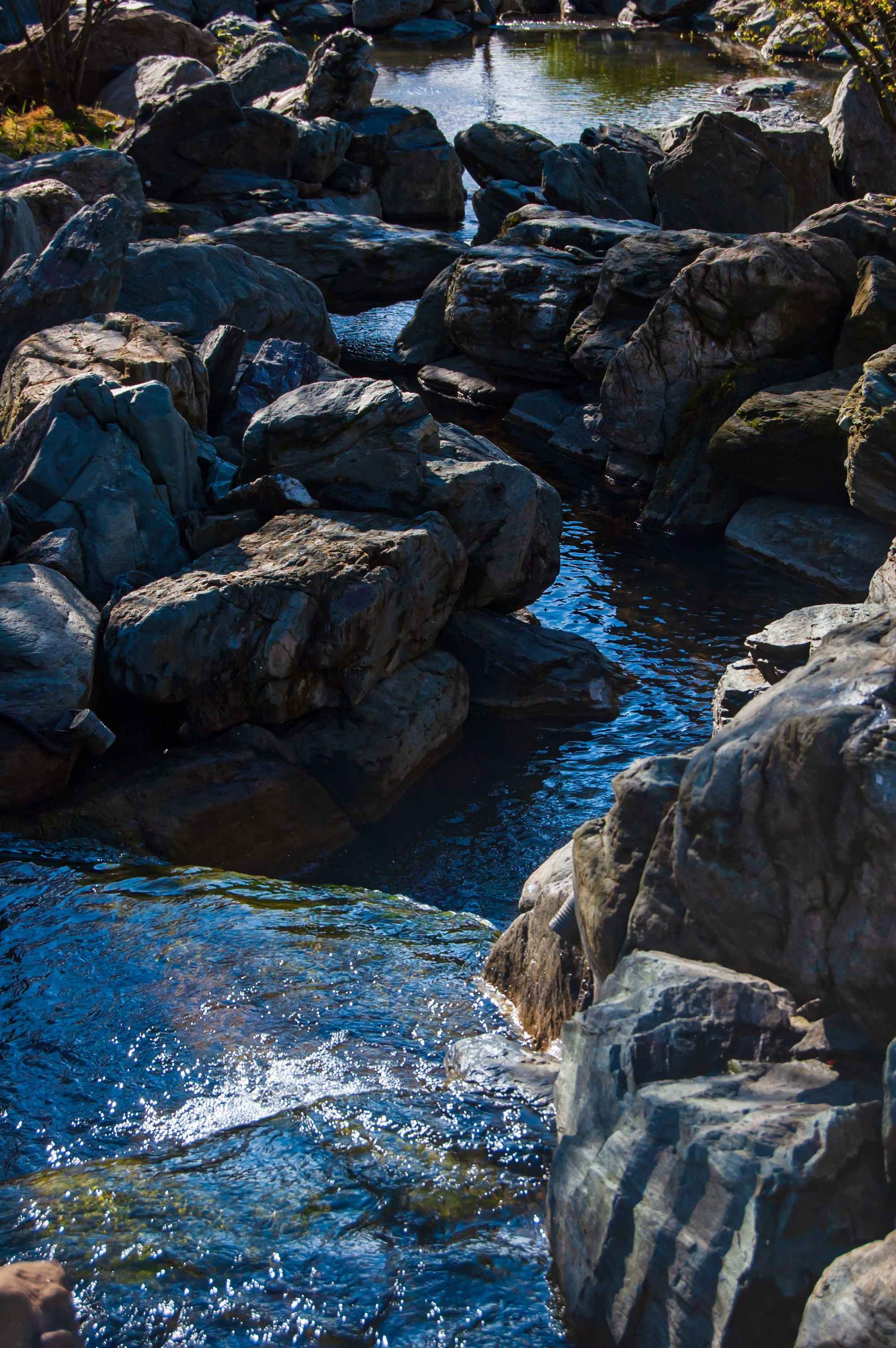 Фотосессия эстетики Японского сада в Краснодаре. Портретный фотограф в Краснодаре Слава Никитин