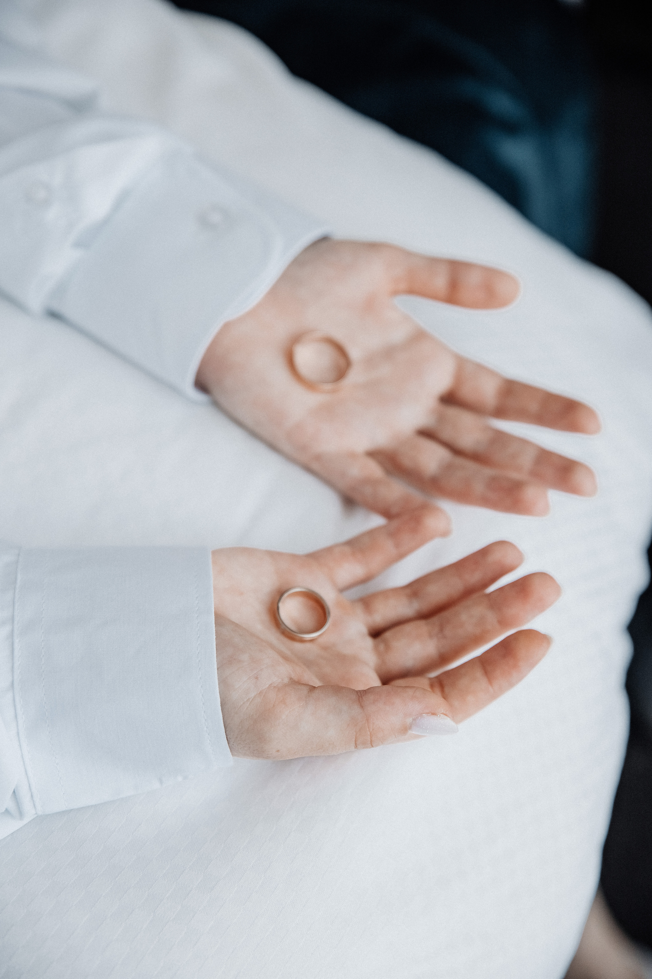 Свадебная фотография. Фотограф Николай Петрушкин | Ставрополь, Москва