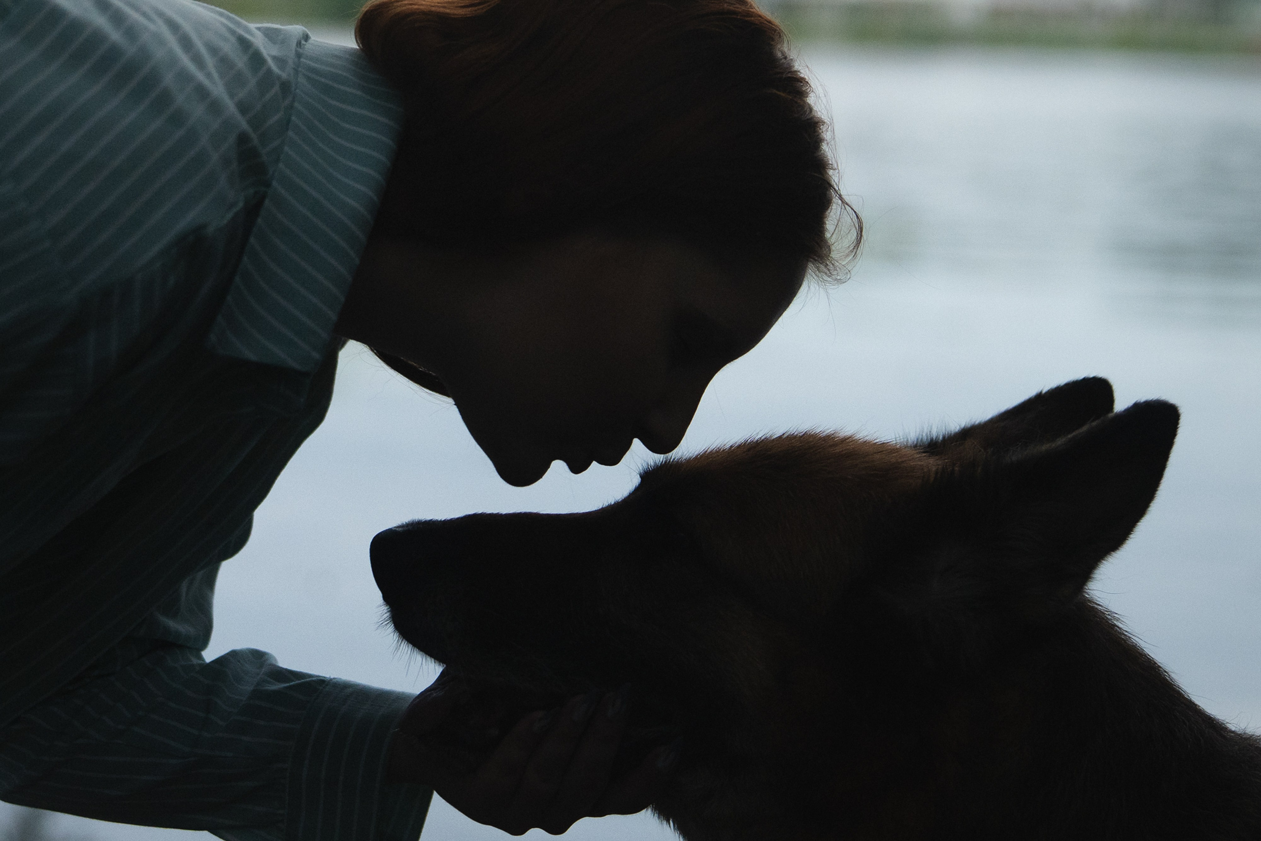 Вика и Фрея. Фотограф анималист в Москве и Санкт-Петербурге Свиридова Анна