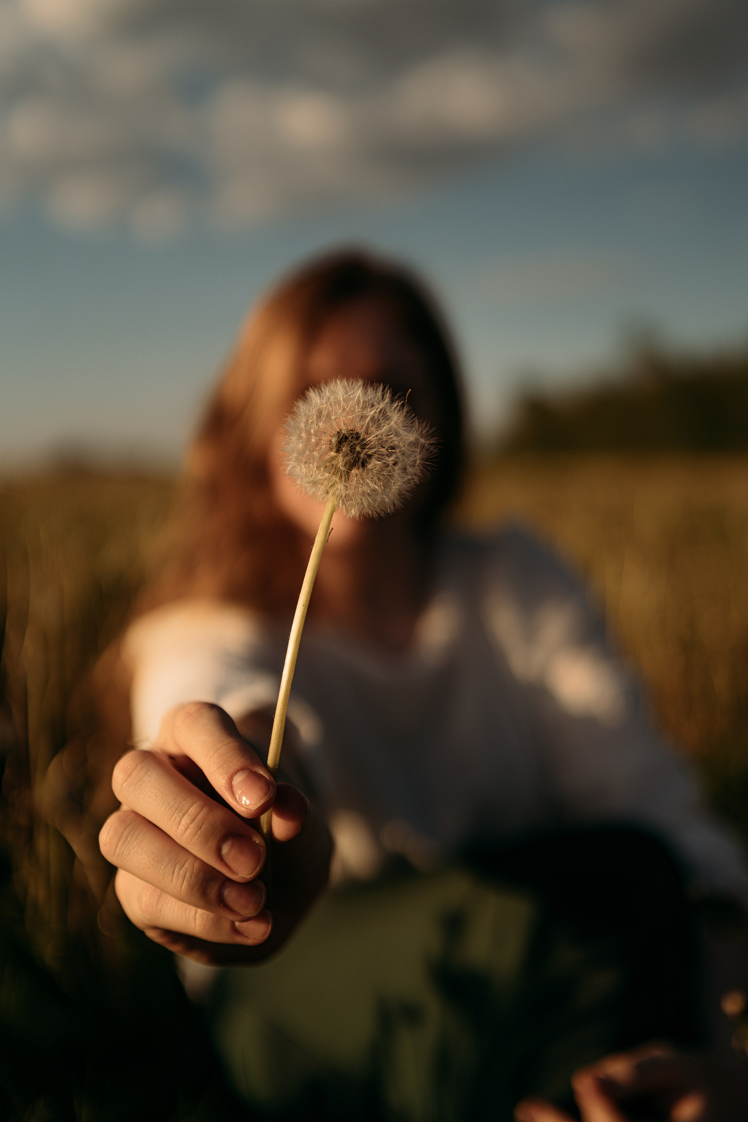 Одуванчики…. FotoTanya. Раменское/Жуковский/Бронницы