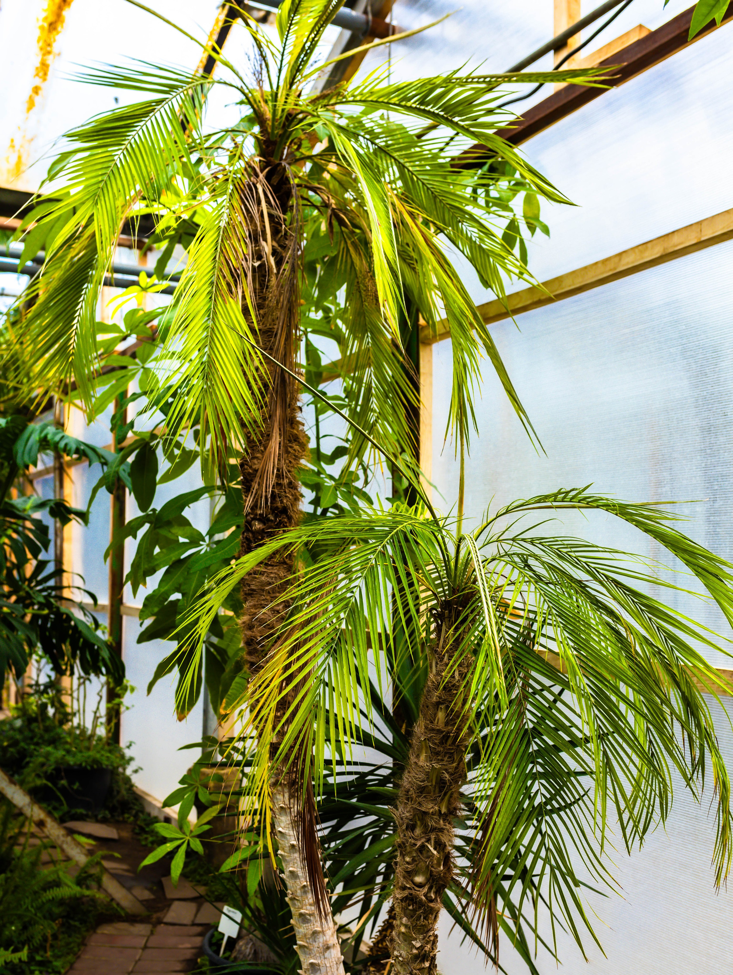 Фотографии природы Липецка. Свадебный и семейный фотограф Виолетта в Липецке