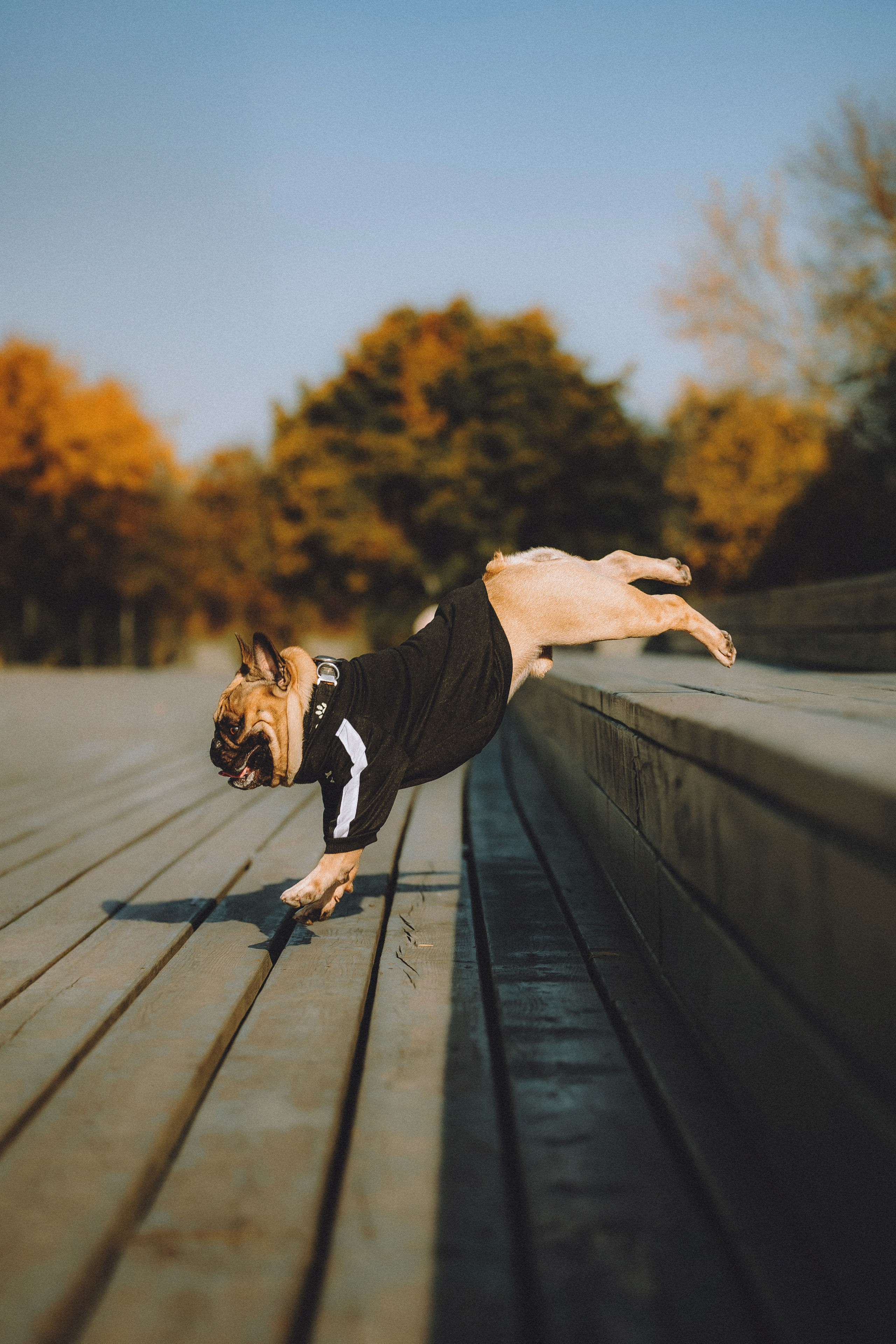 Настя, Женя и Хонор