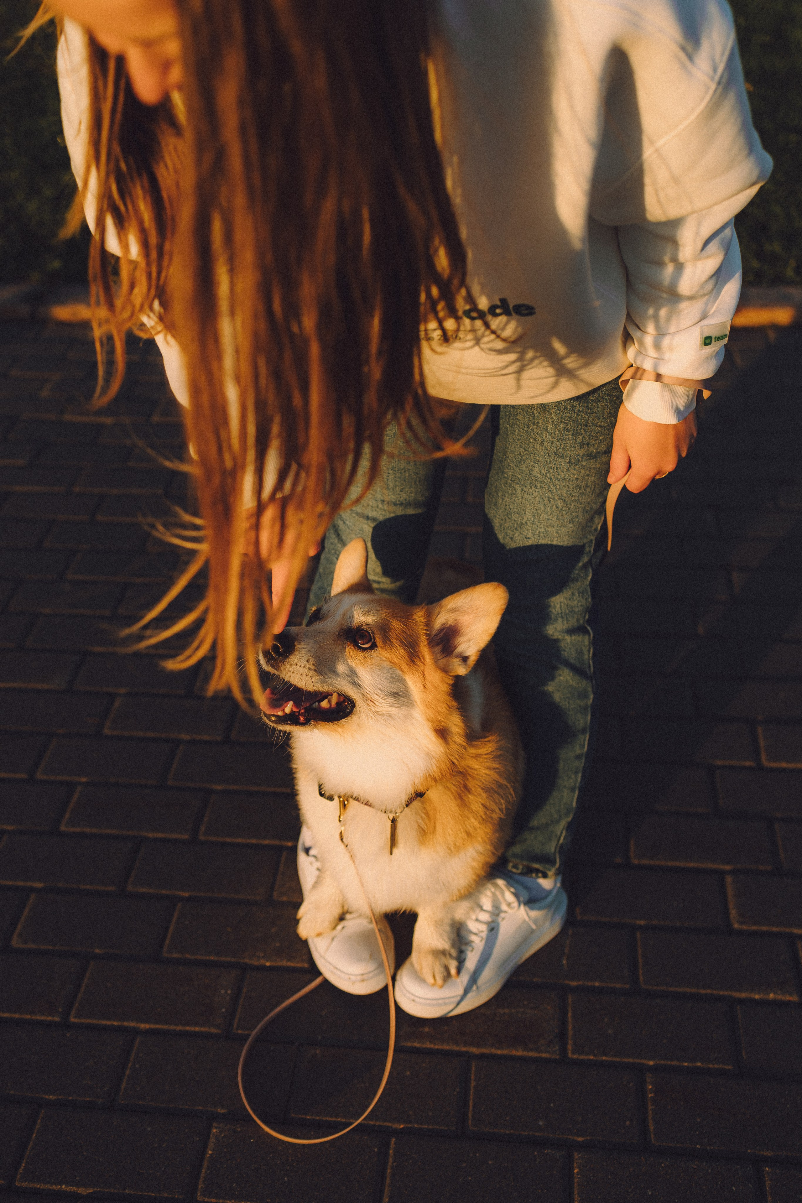 Пуговка и ее семья