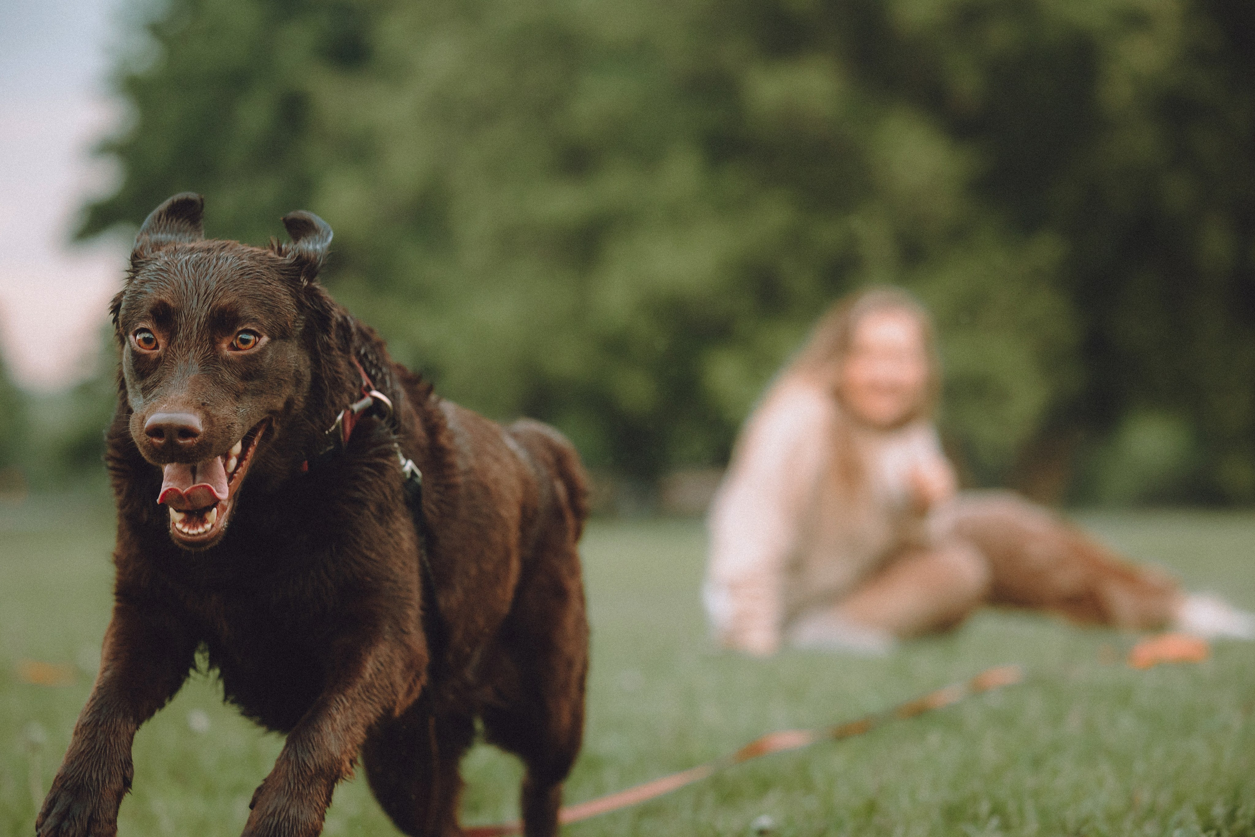 Катя, Ваня и Джеси