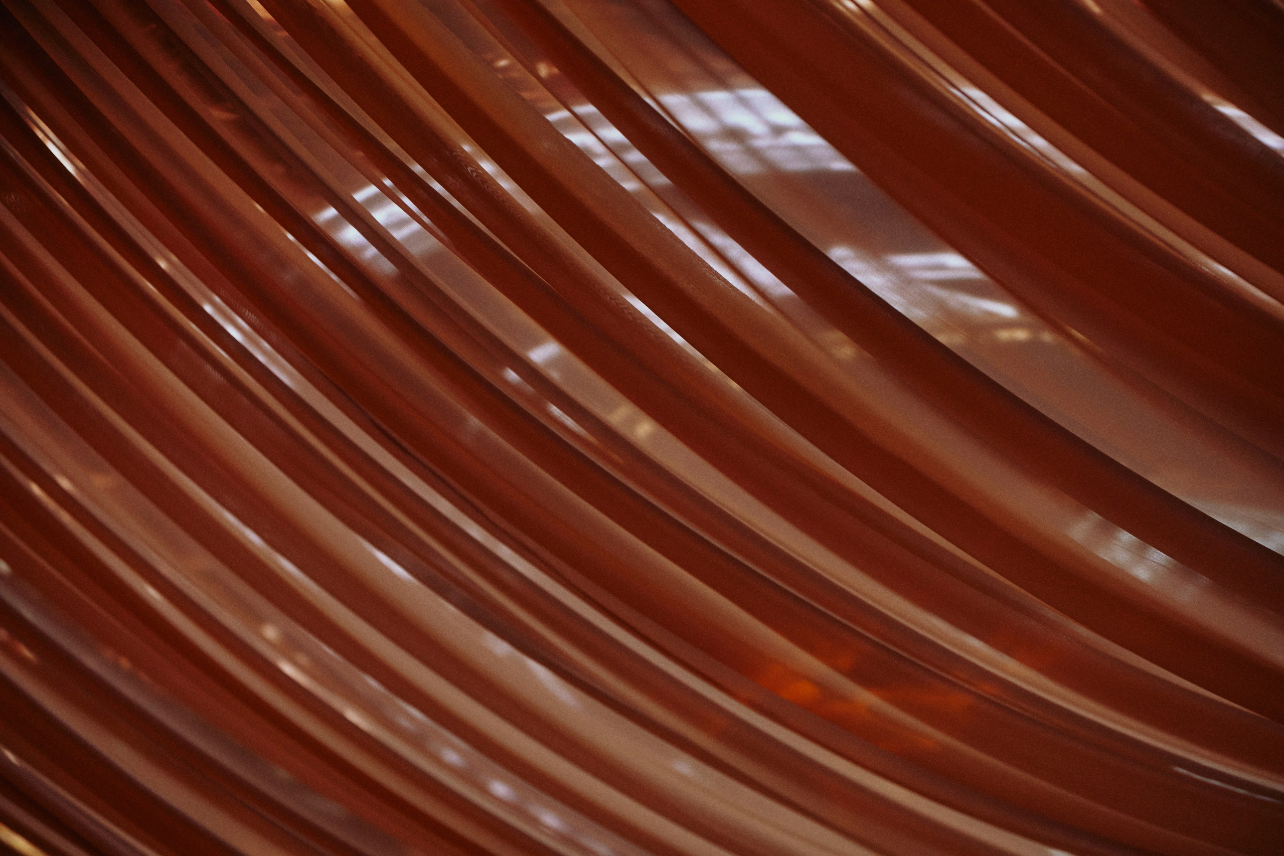 REFLECTIONS: A TRAIL OF FEELINGS. Дмитрий Мазуркевич: Профессиональный Репортажный Фотограф