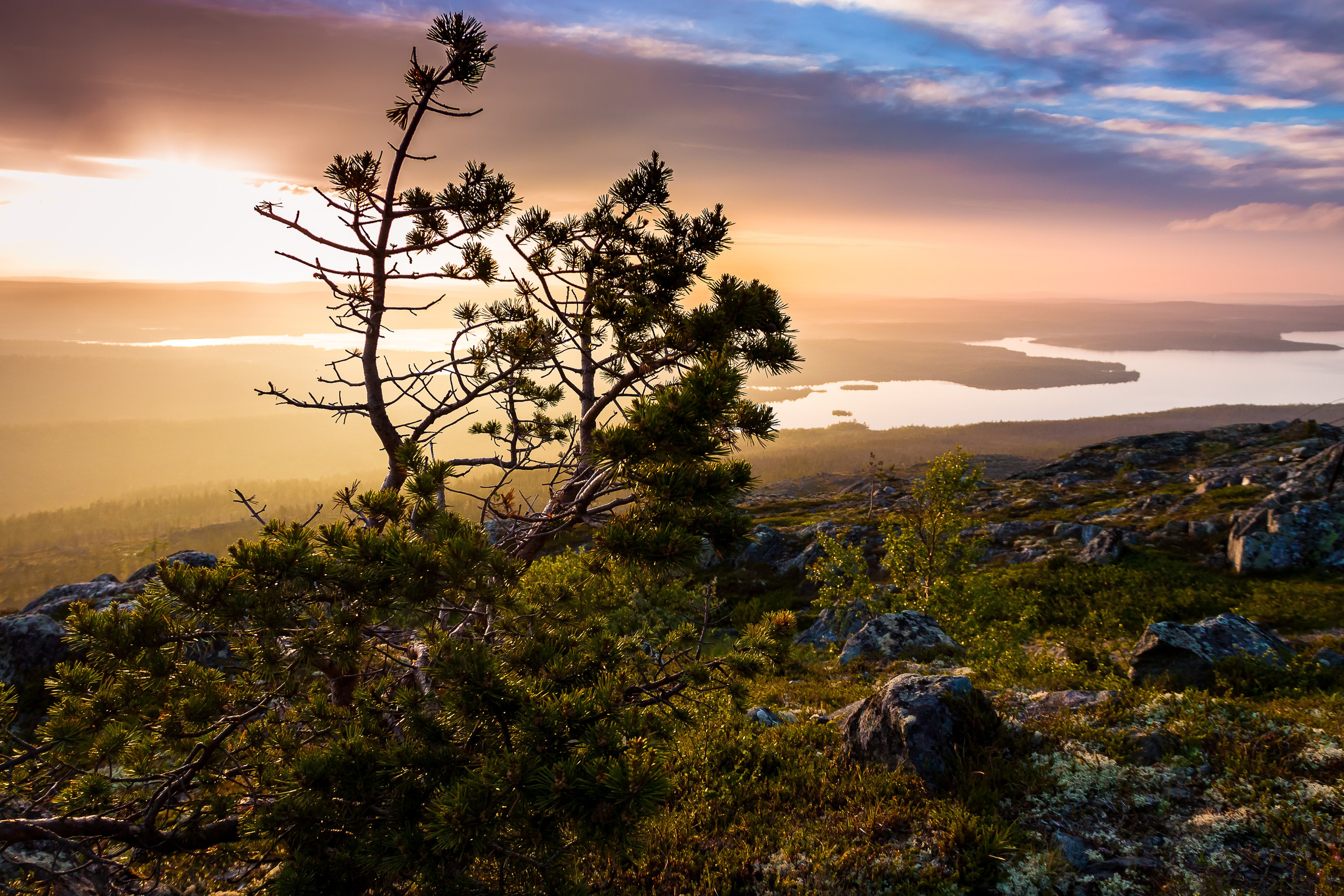 Тундра Лес и Сопки. Пейзажи Крайнего Севера. Баренцево море, Рыбачий, Средний, Немецкий