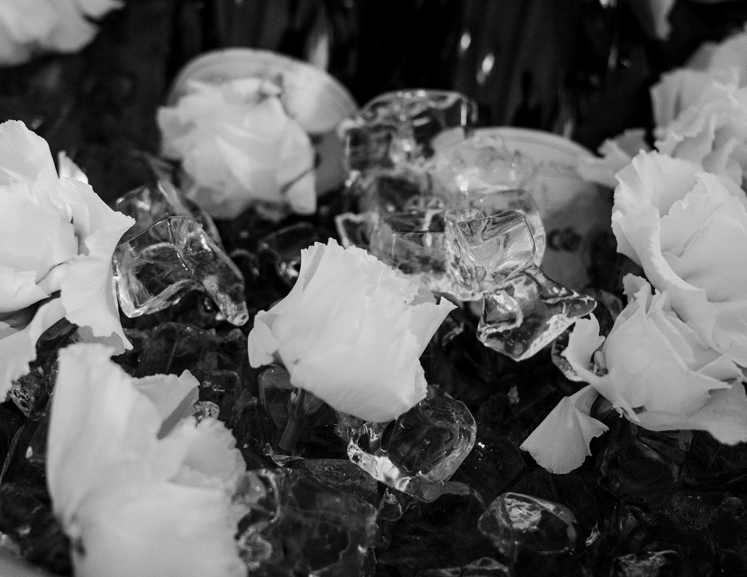 Любовь в Доме Архитектора. Свадебный и семейный фотограф в Краснодаре Марина Стёпа