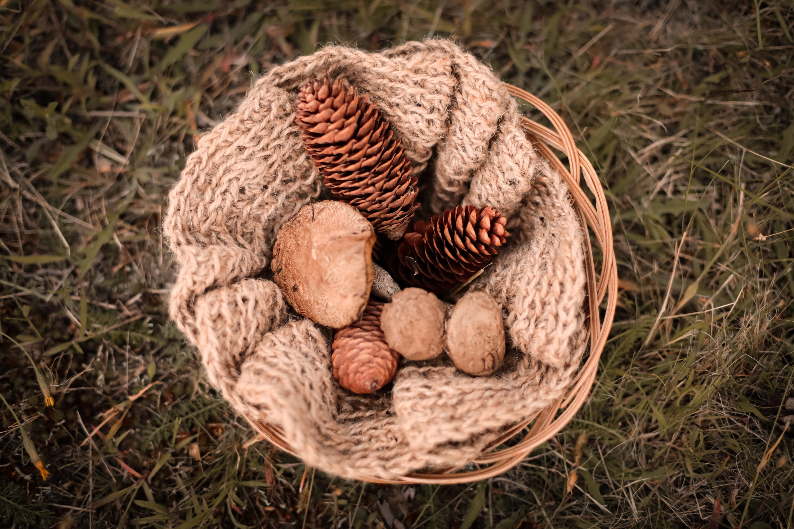 Осенняя фотосессия. Фотограф г. Хабаровск. Семейные и индивидуальные съёмки
