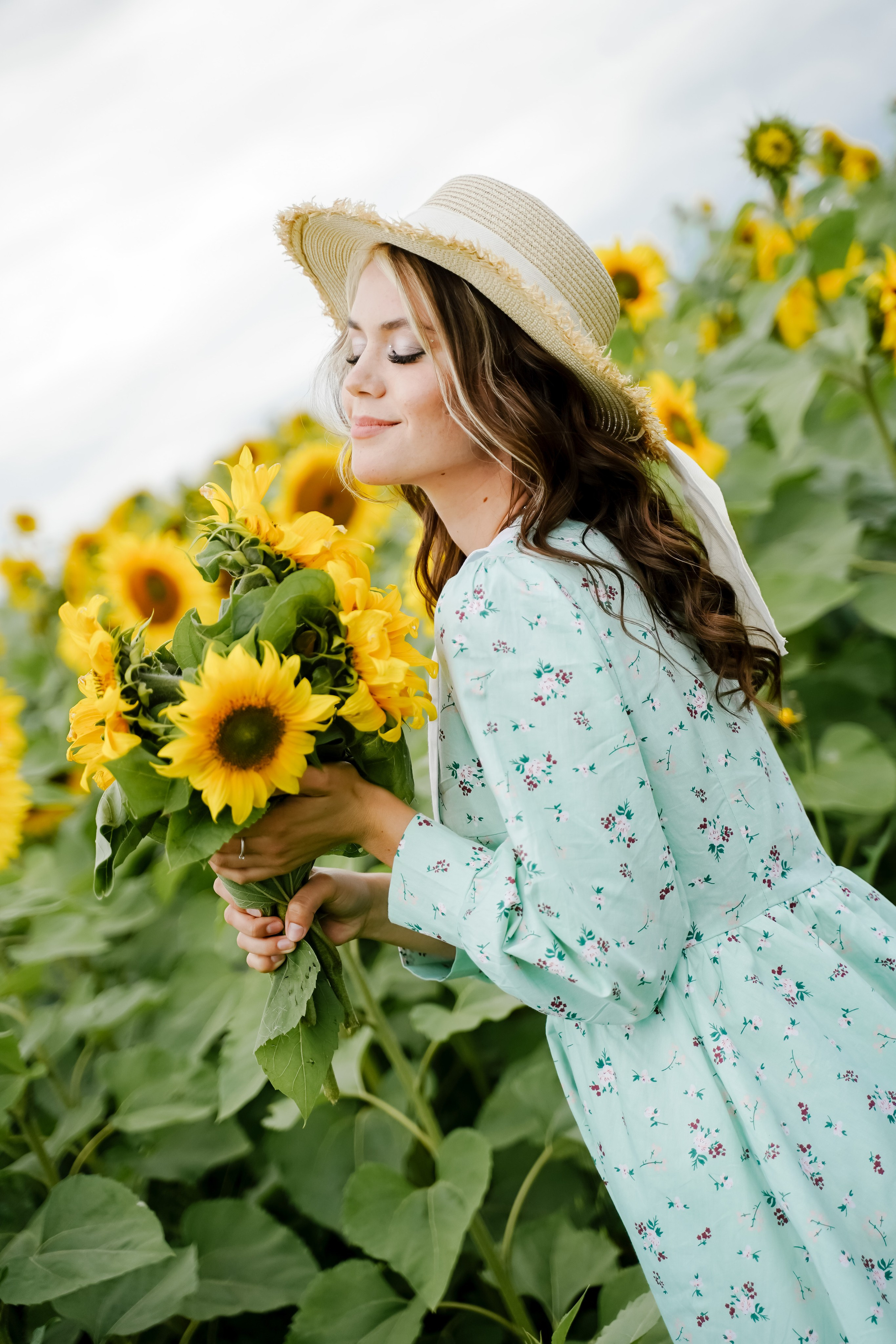 Подсолнухи. Бирск