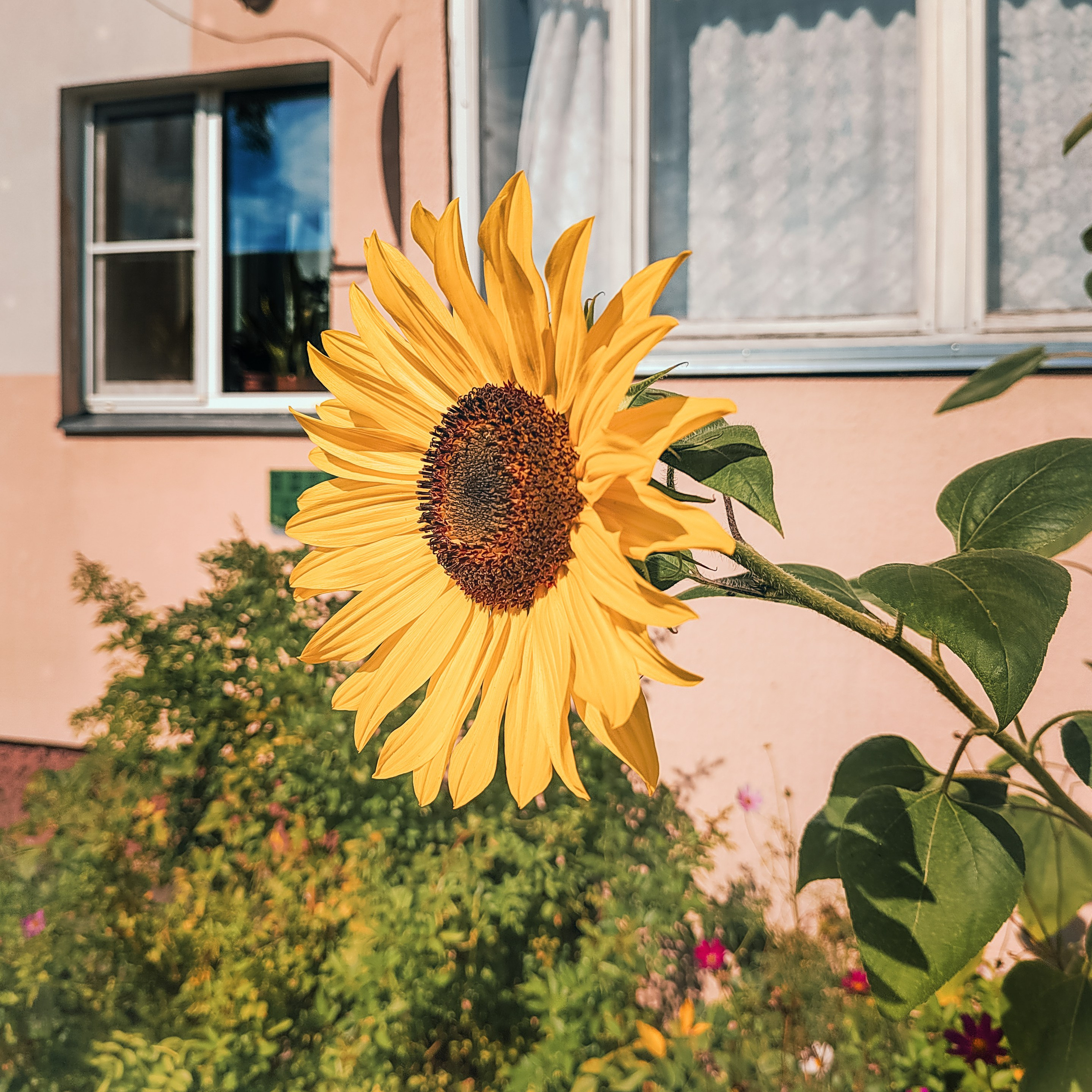 Street photo. Фотограф (photographer) Lischinski Vitaliy