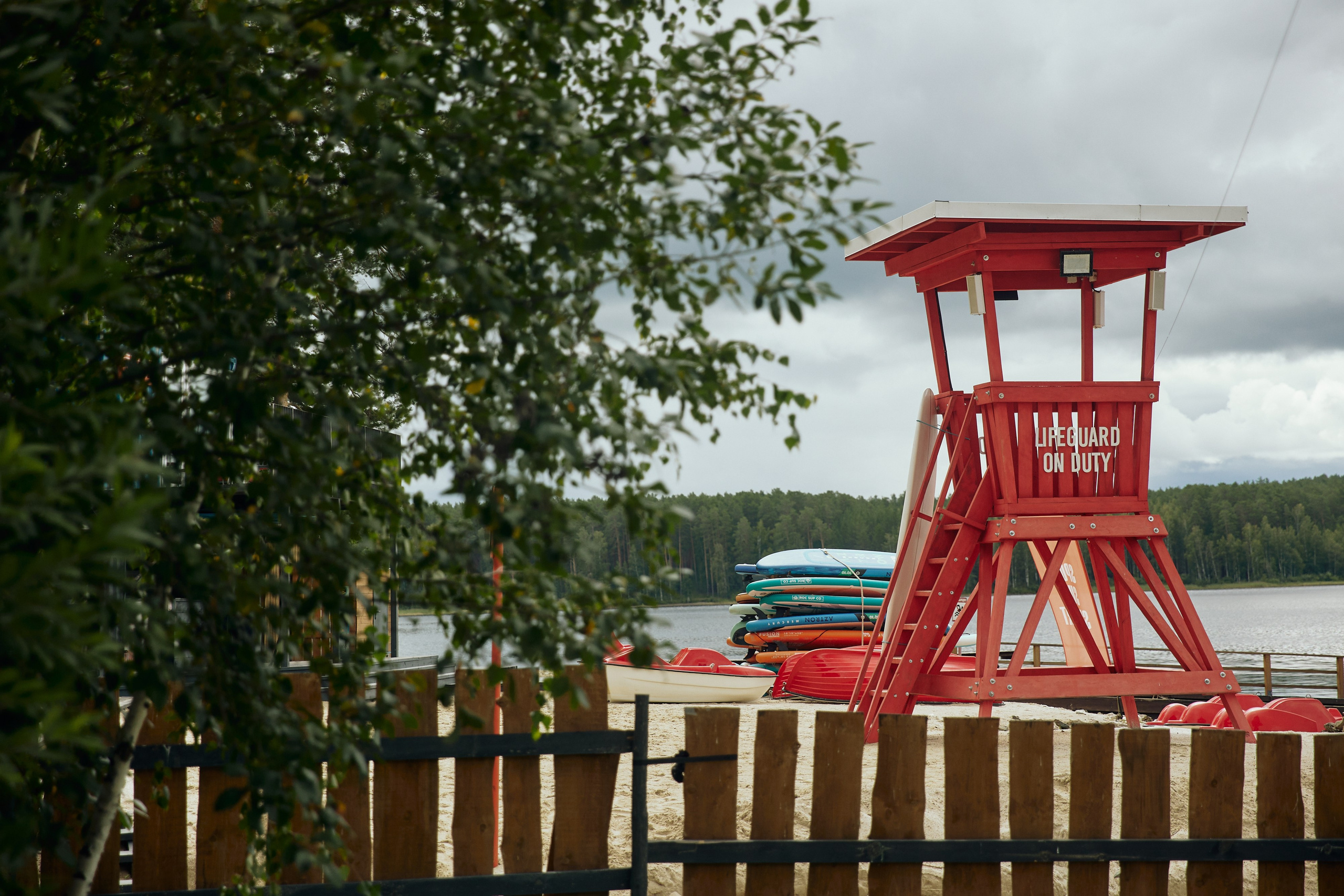 AVLN TEN YEARS. Дмитрий Мазуркевич: Профессиональный Репортажный Фотограф