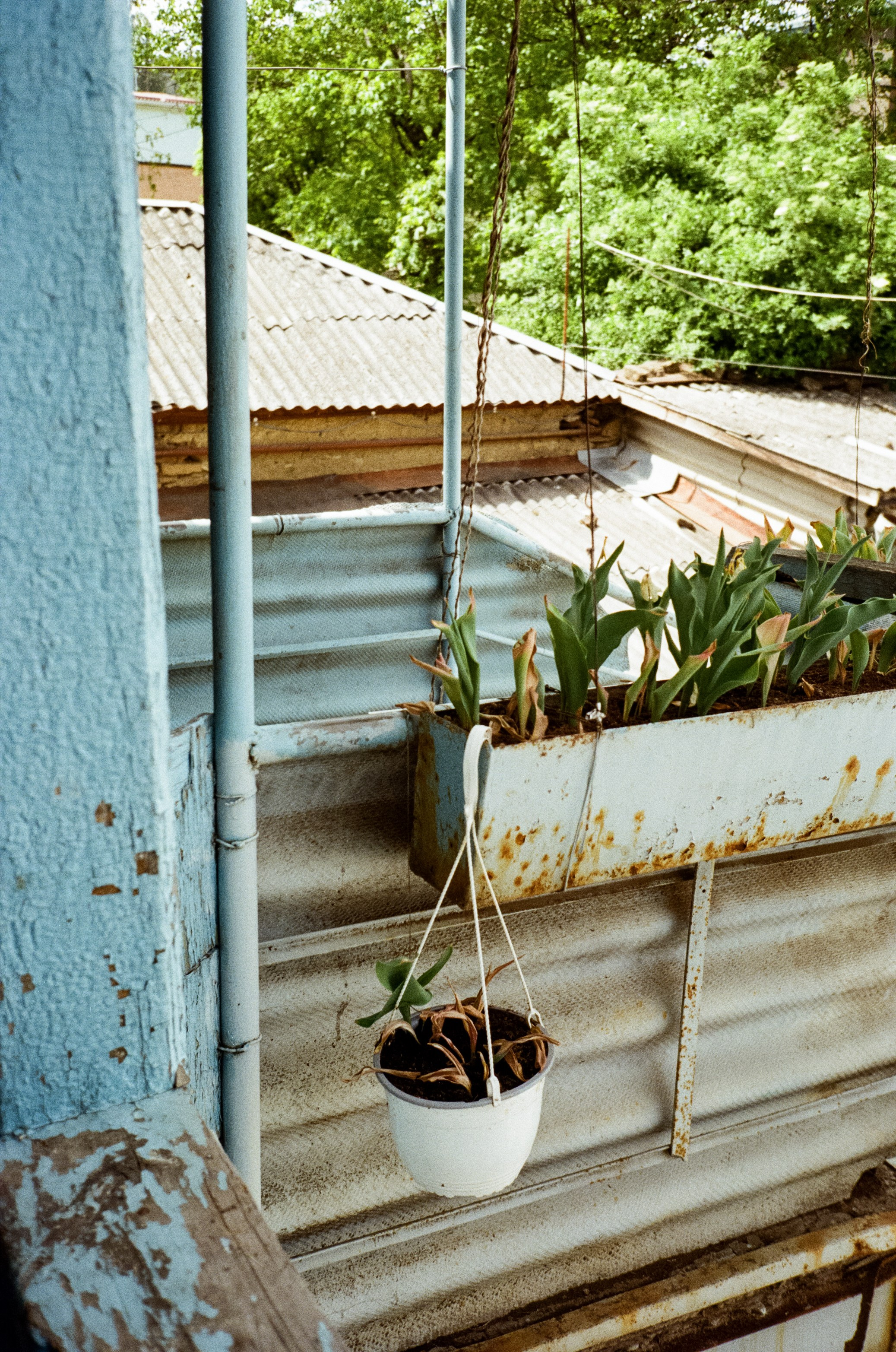 Дворик на Гагарина в Кисловодске. Паркур. Фотограф-документалист Мария Осокина