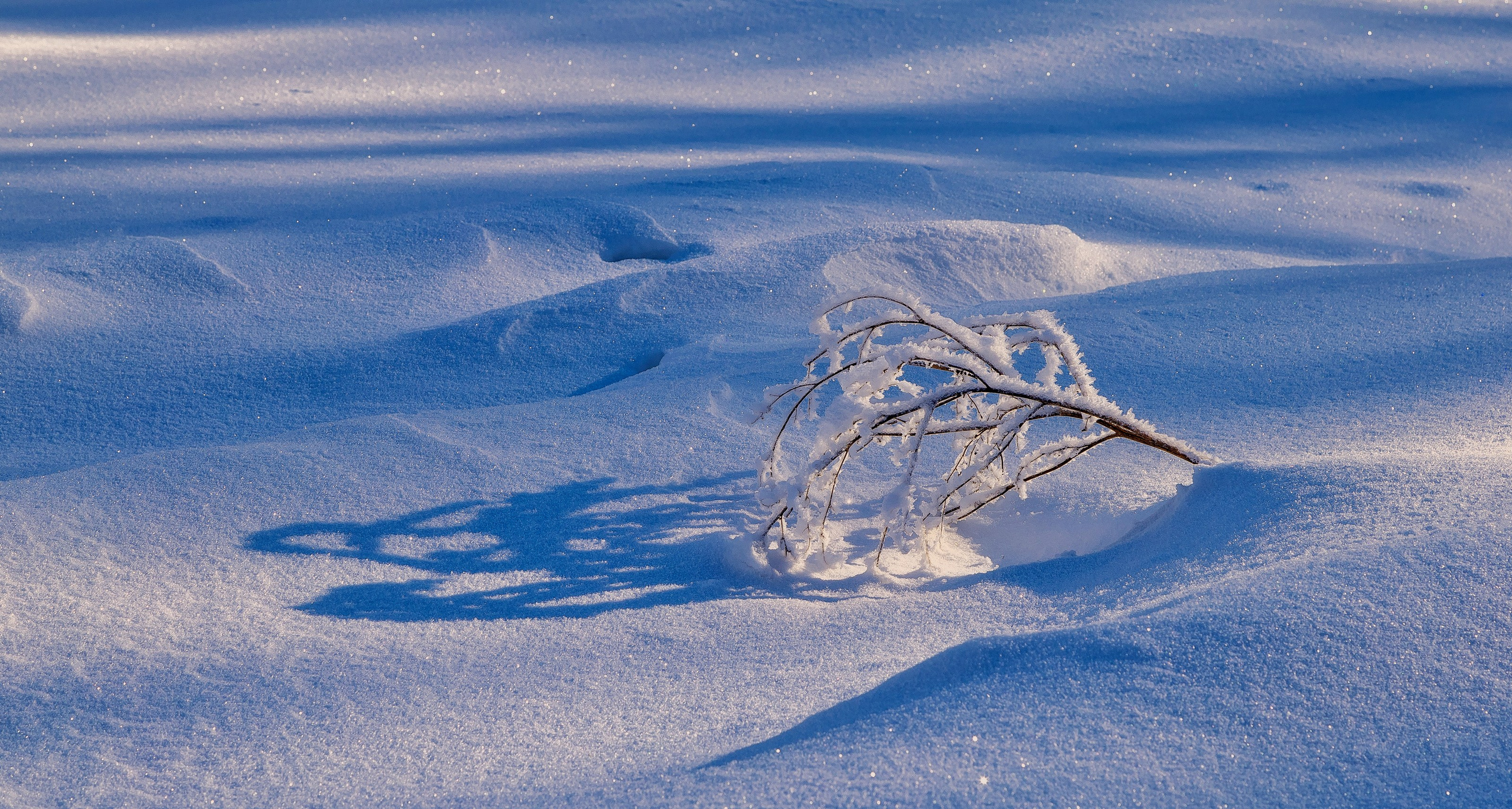 Природа. Макс По — фото и видео съемки любого формата