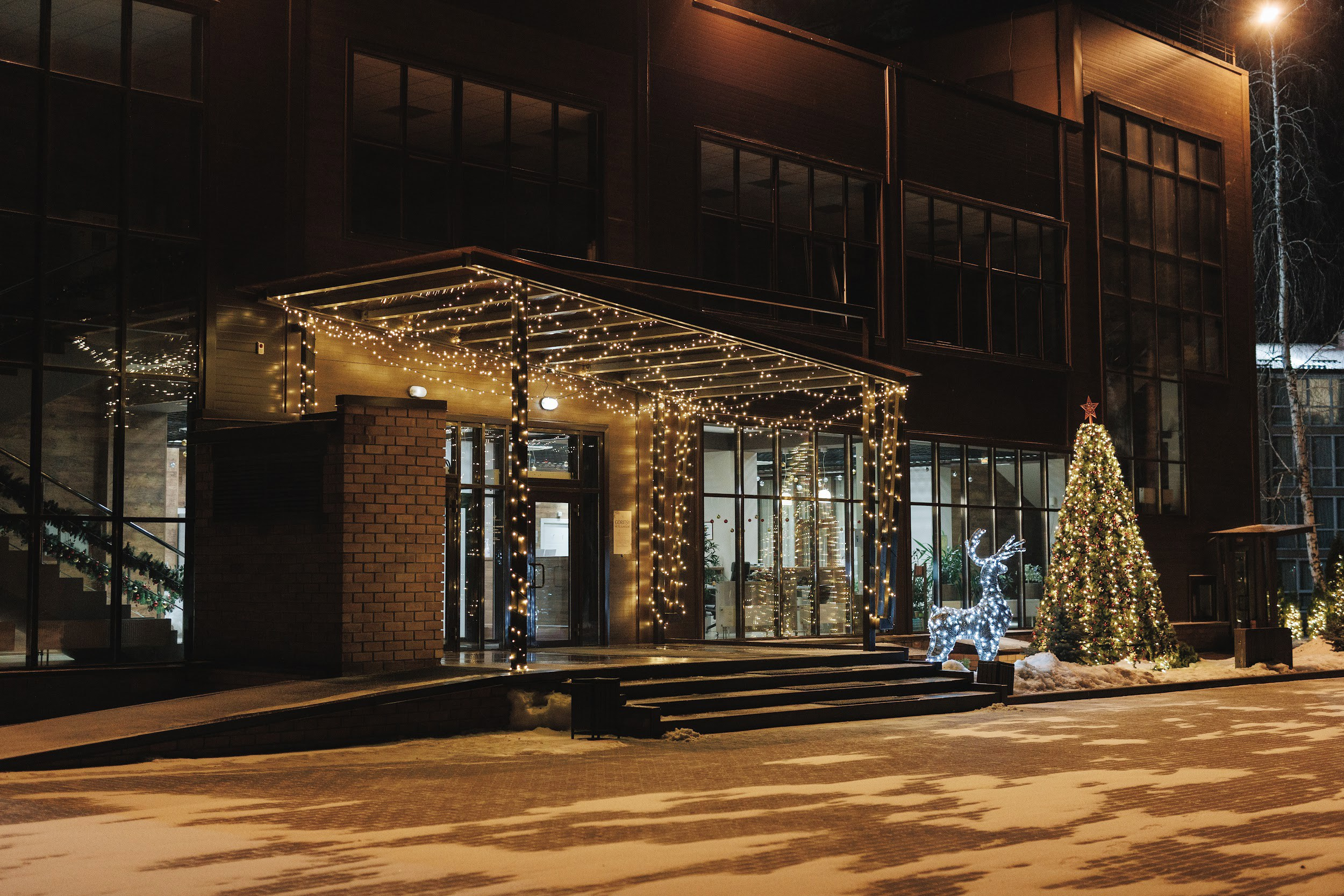 Goritsy | Новый год 2024. Свадебный и репортажный фотограф в Воронеже Сергей Максимов