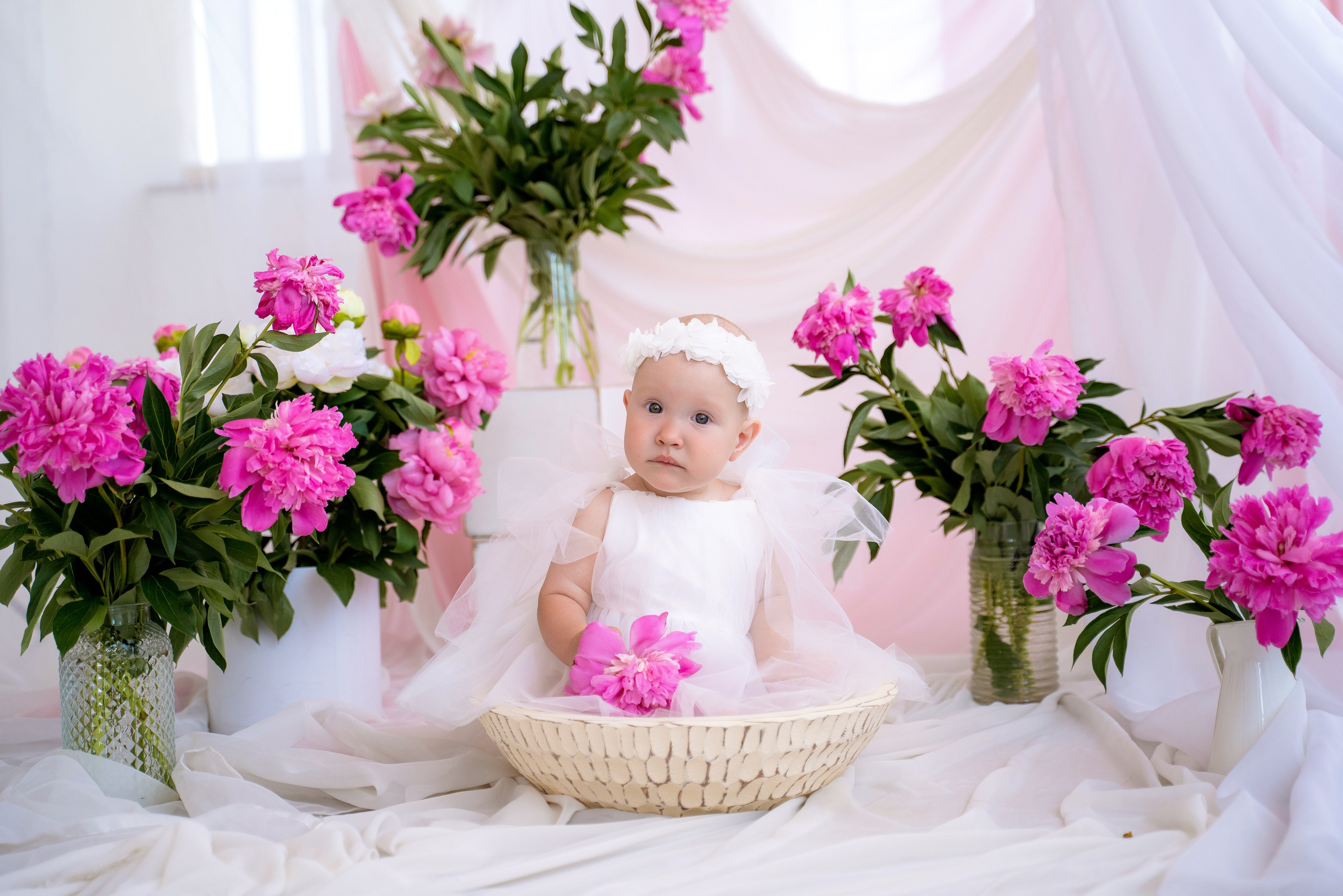 Пионы. Фотостудия Малина в городе Улан-Удэ. Фотограф Ирина Жарникова