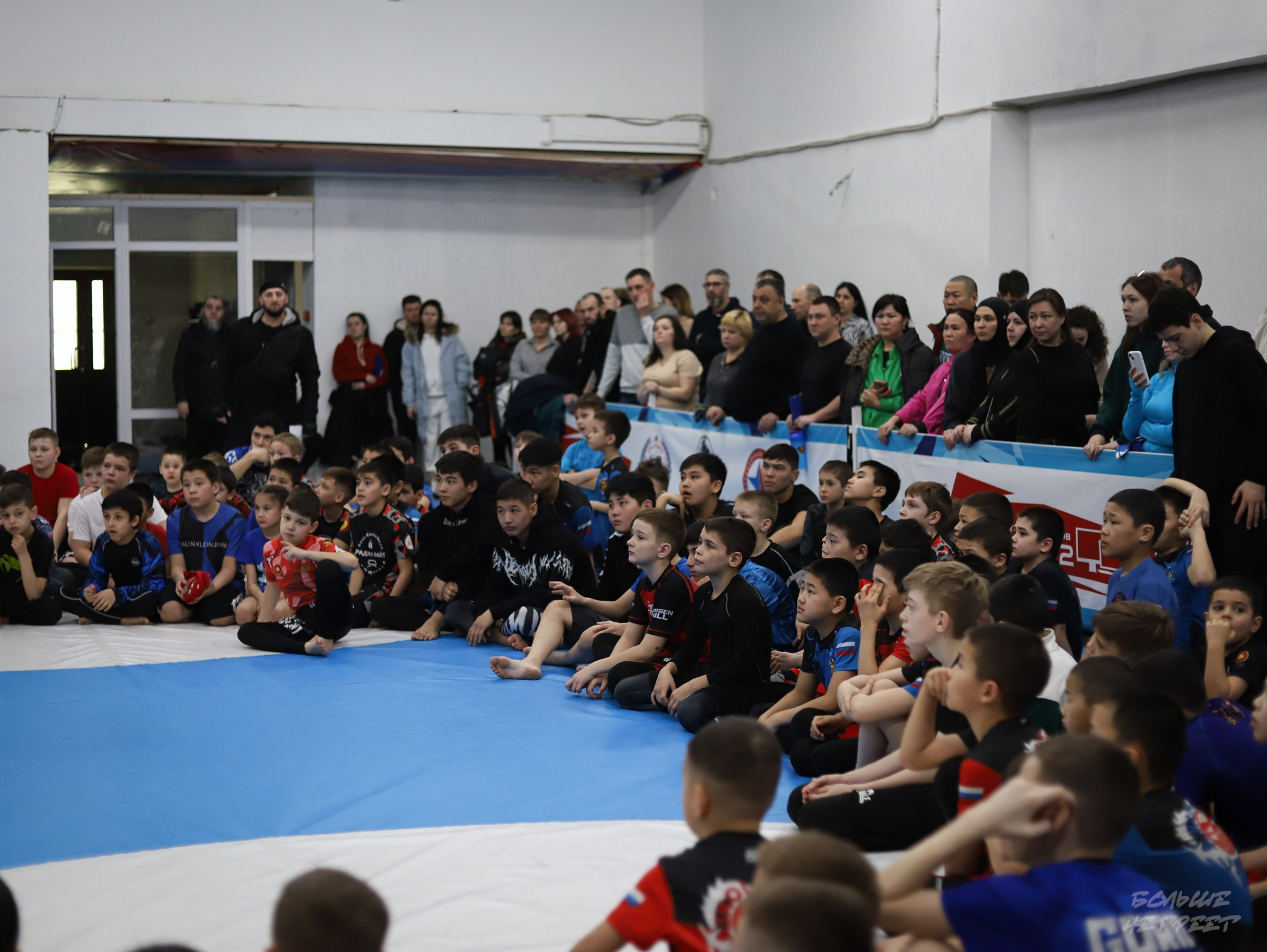 GORILLA PRIDE CUP. Больше не греет