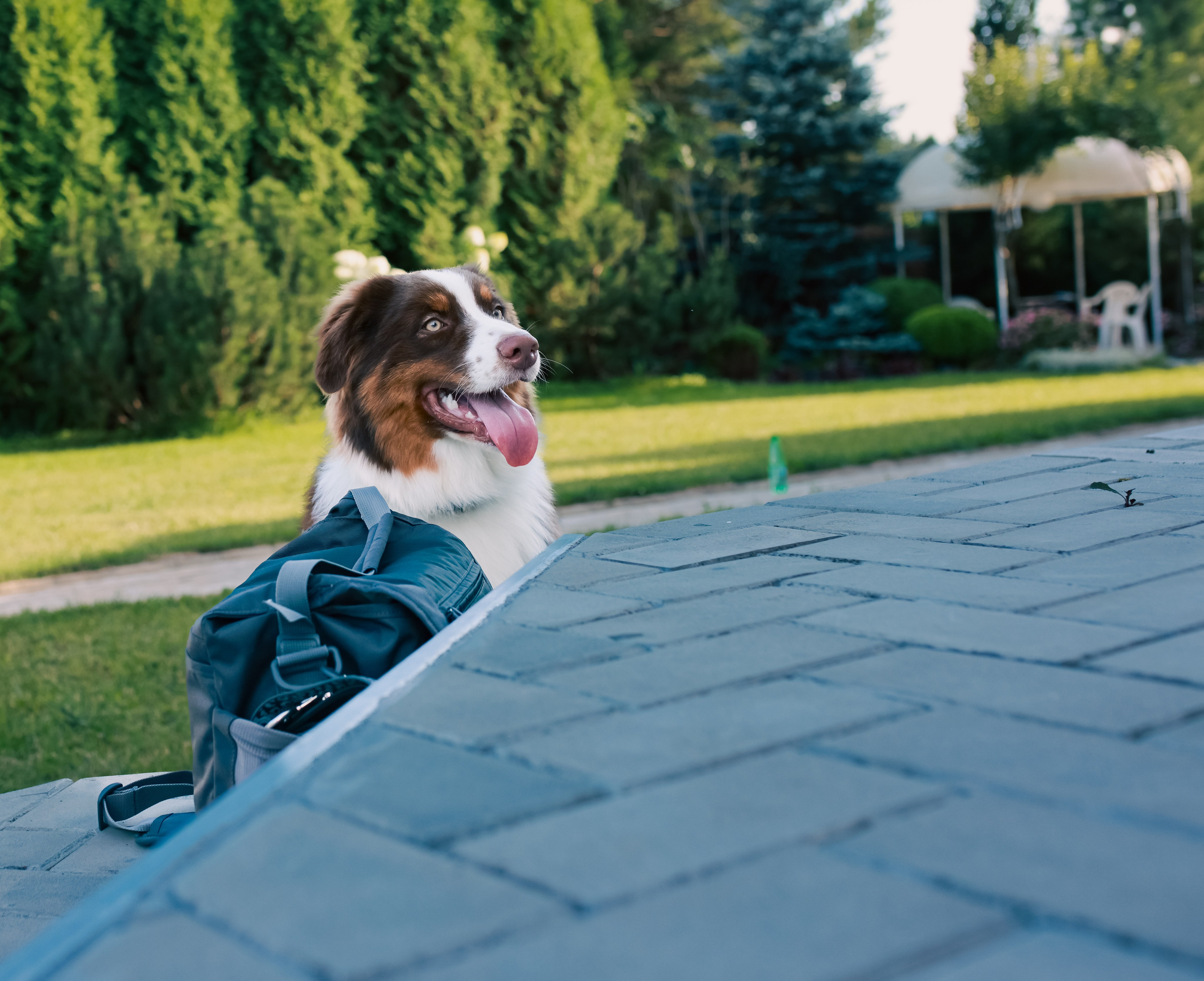 День рождения. Фотограф репортажей и стритфотосессий в Москве Людмила Смирнова