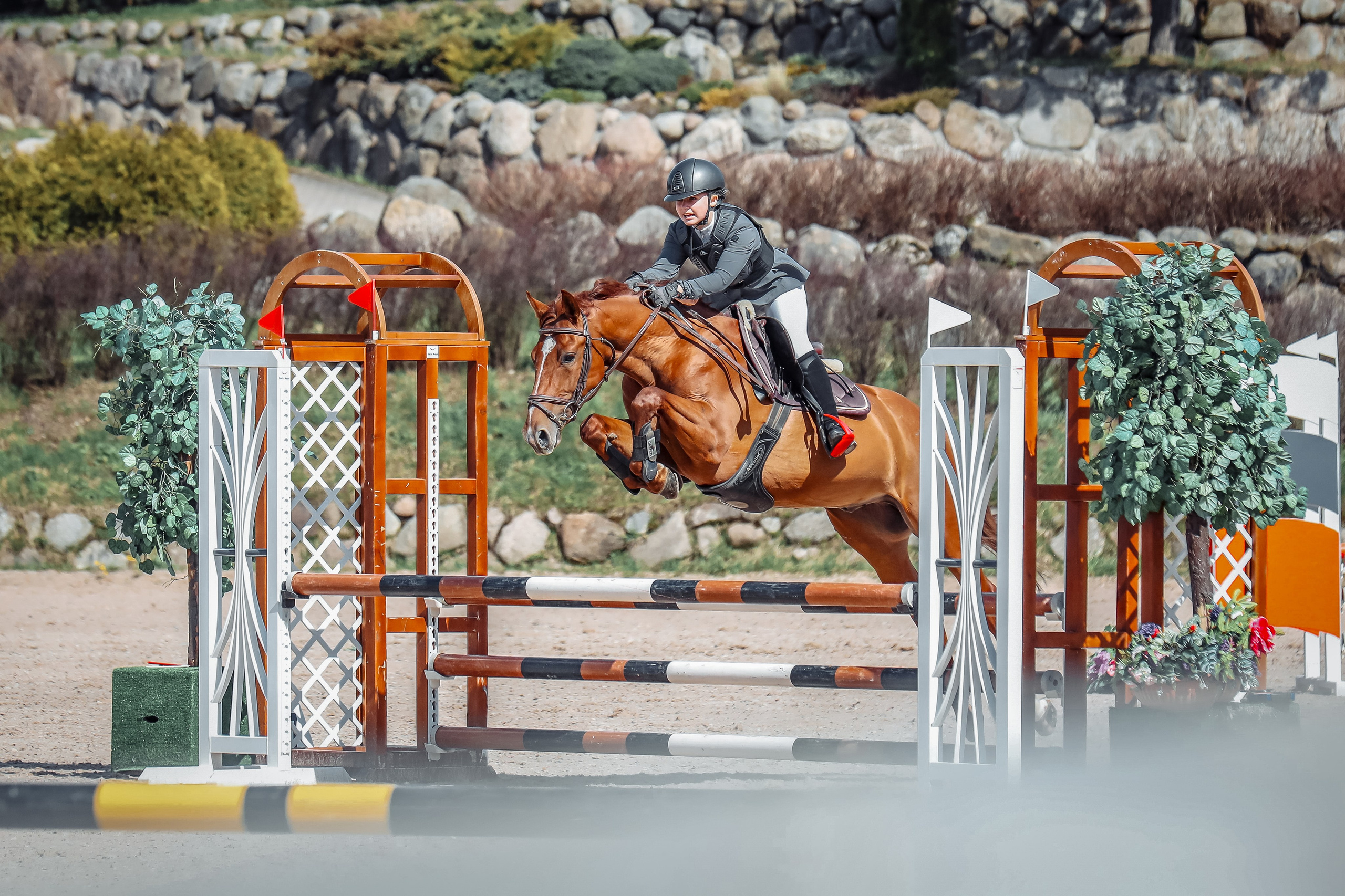 Лошади Евы Демидовой. Ева Демидова. Спортсмен по конкуру в Санкт-Петербуре