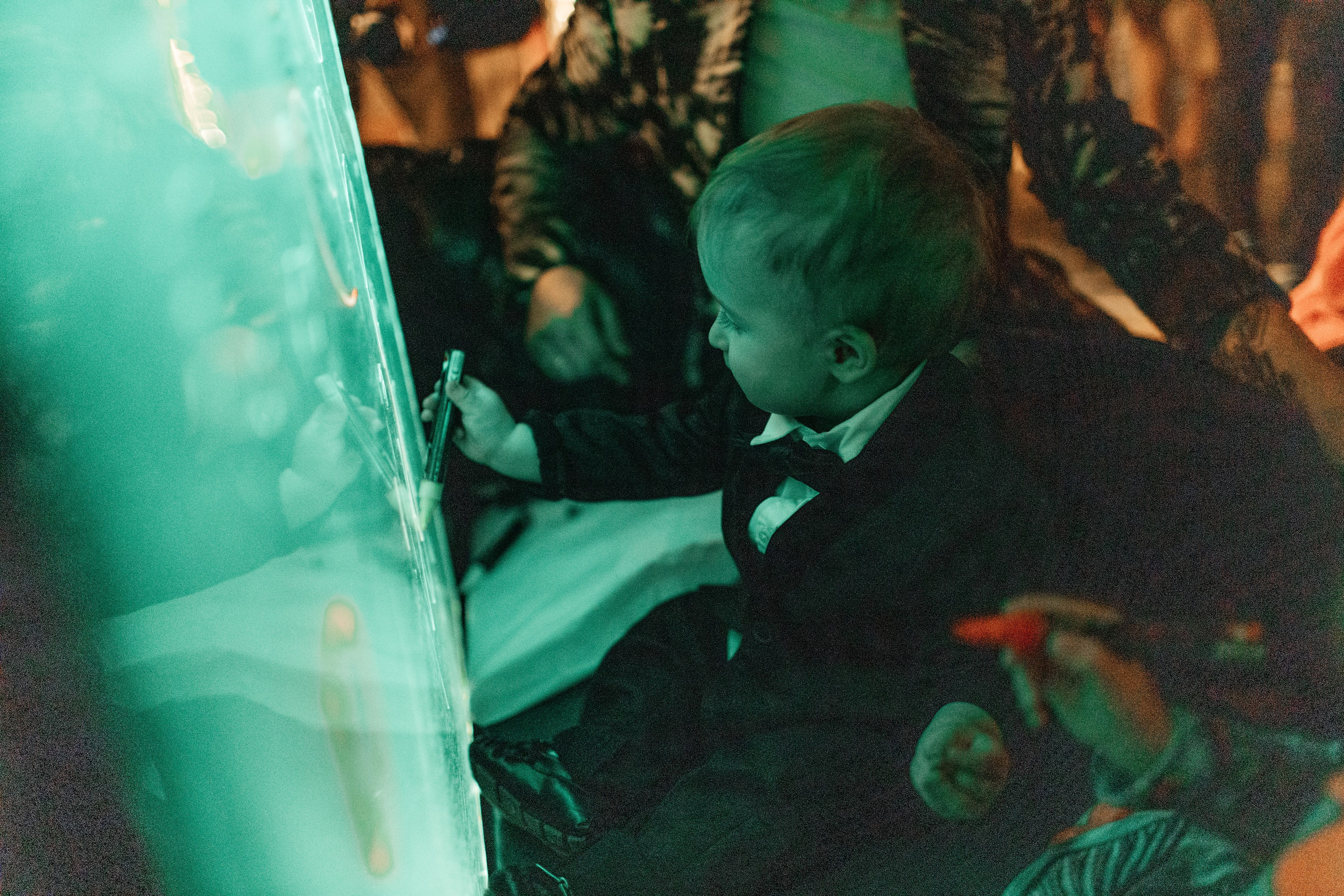 Артемий 2 года @allazemaalla. Свадебный и семейный фотограф