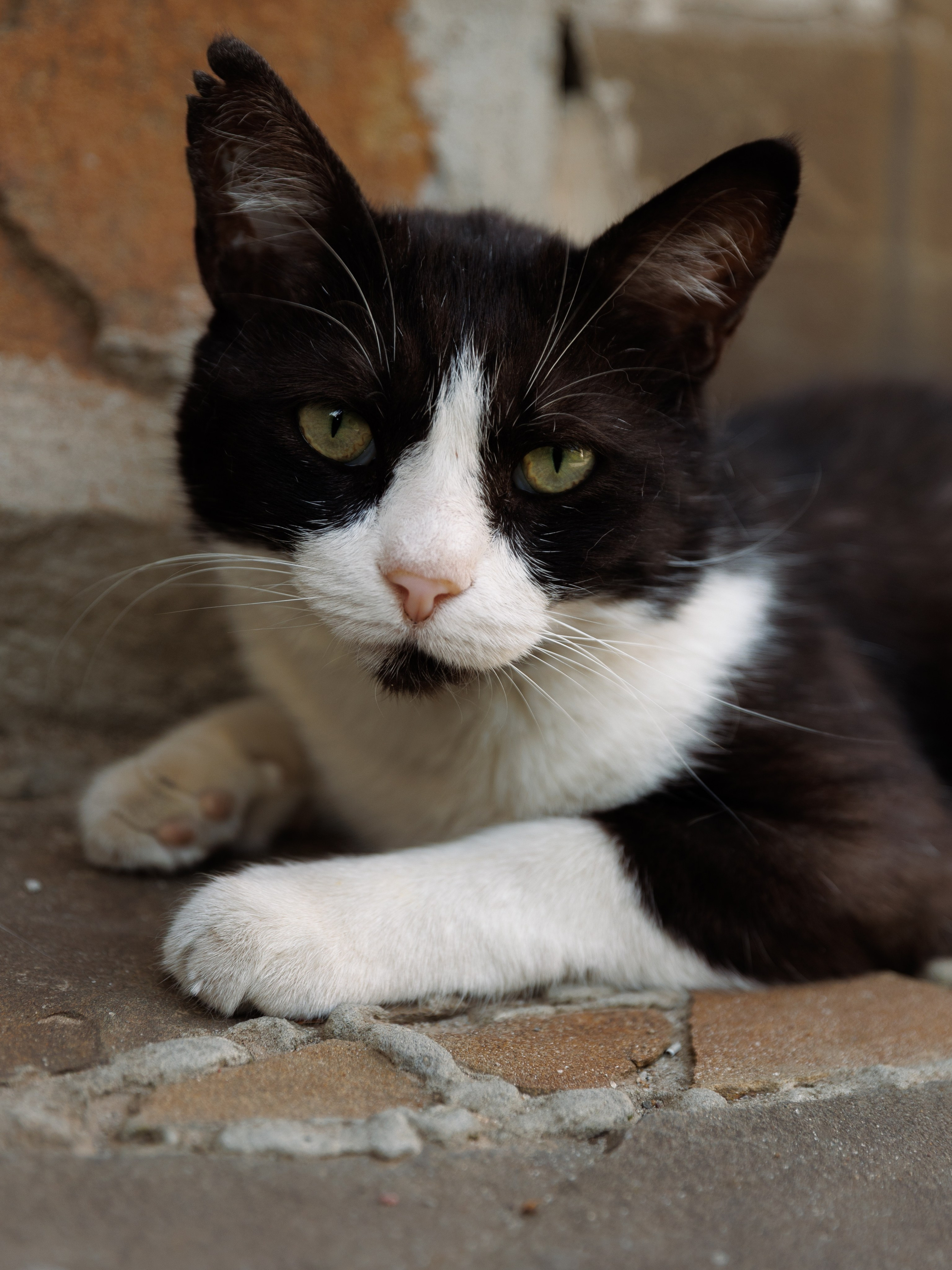Артем и Анастасия. Фотограф