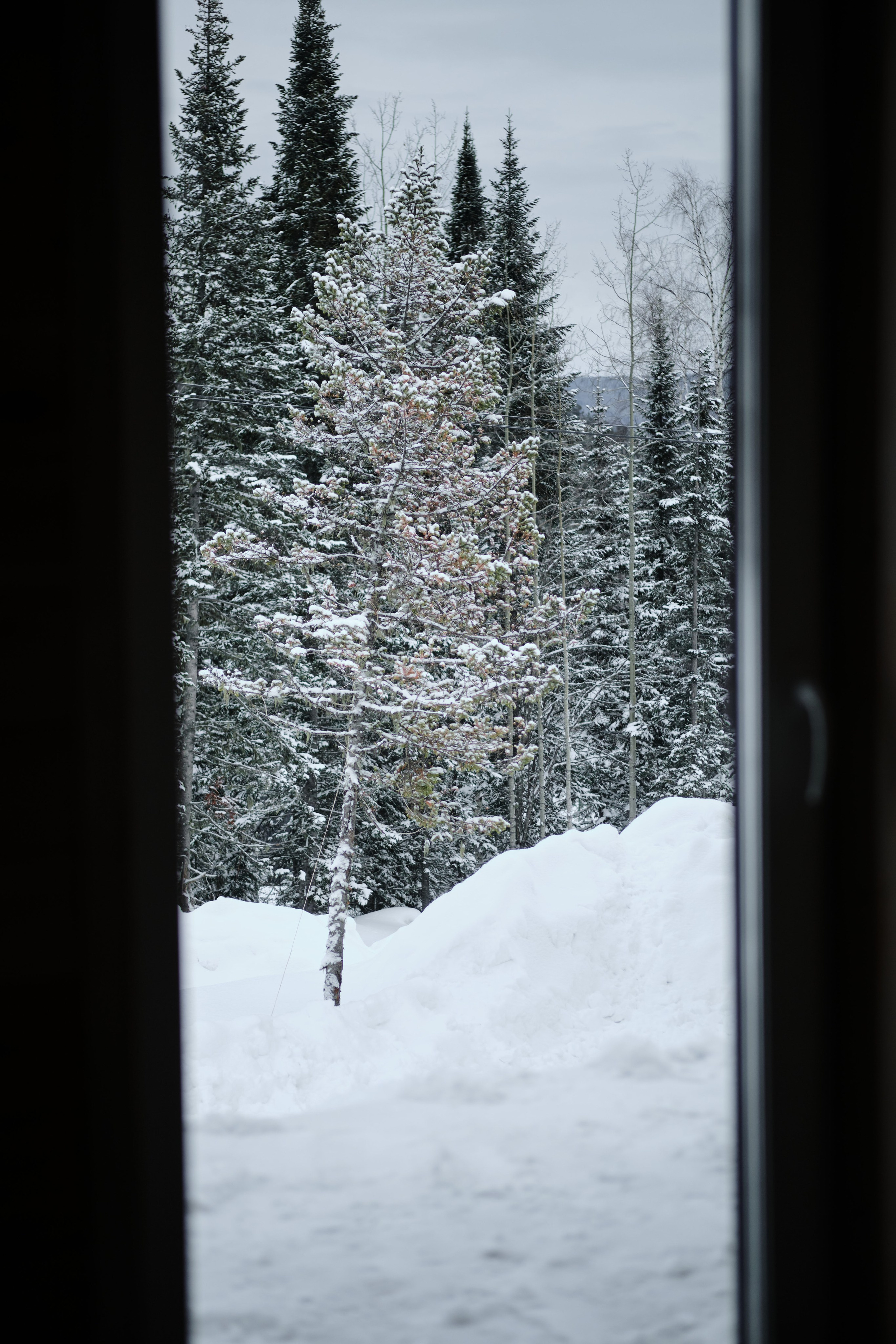 Ледовая 59 Дом 1. Свадебный и семейный фотограф в Новокузнецке Иван Иванов