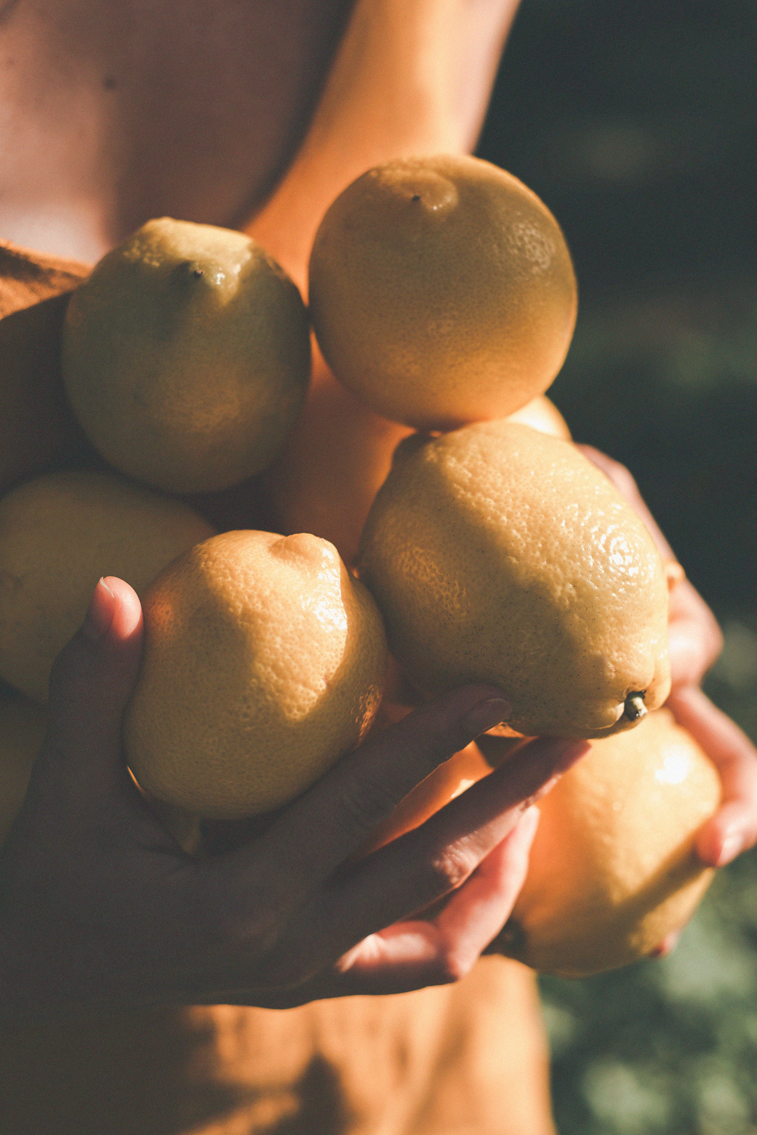 Таня. Фотограф Татьяна Семенова [Минск/Москва]