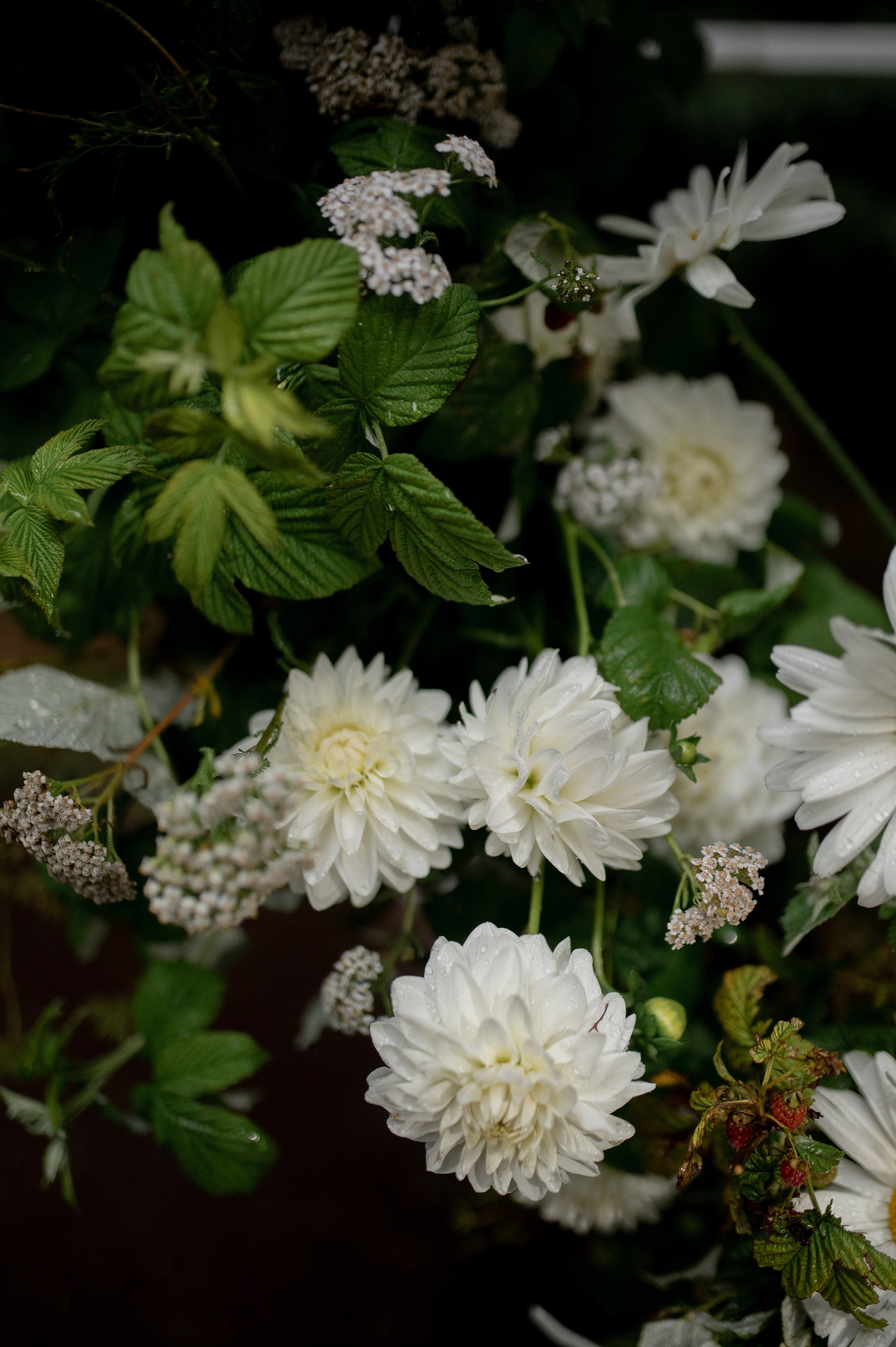 Коля & Вика. Оформление свадеб, декор свадеб Вера Маркова, Москва