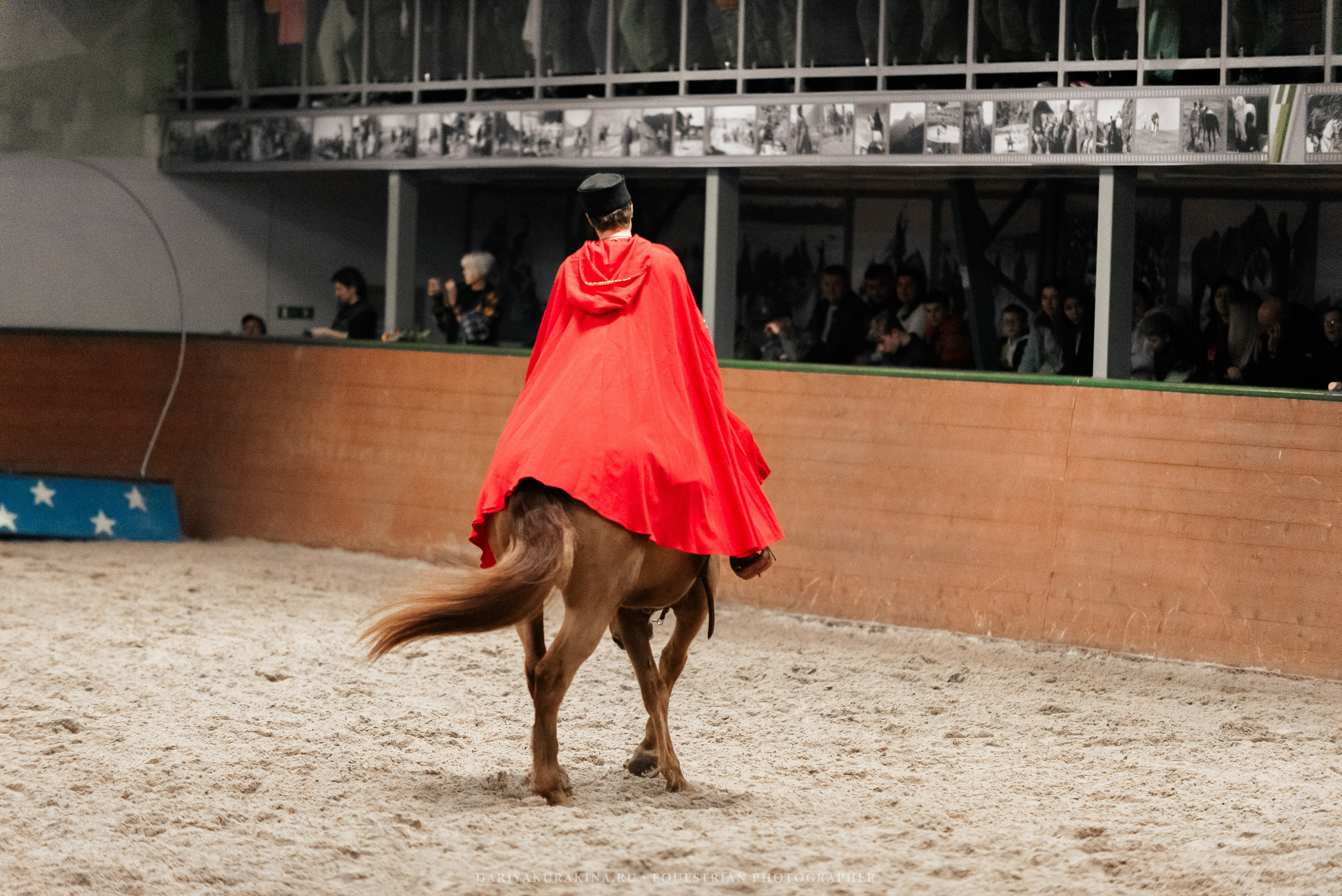 Конное представление «Дыхание Звёзд». Конный фотограф Куракина Дарья • Фотосессии с лошадьми