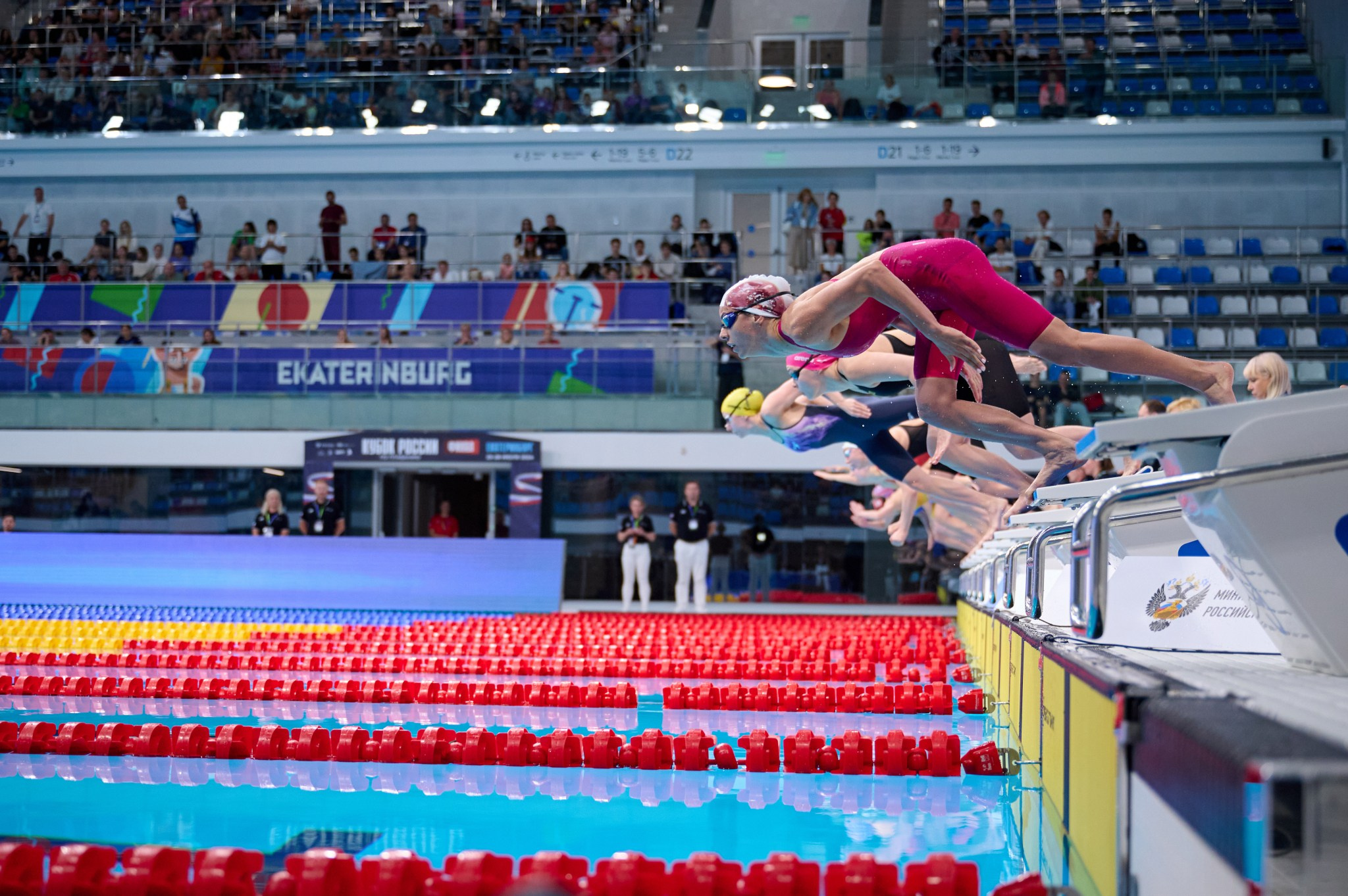 Кубок России по плаванию 2024 г. Екатеринбург. Мезенцев Евгений фотограф