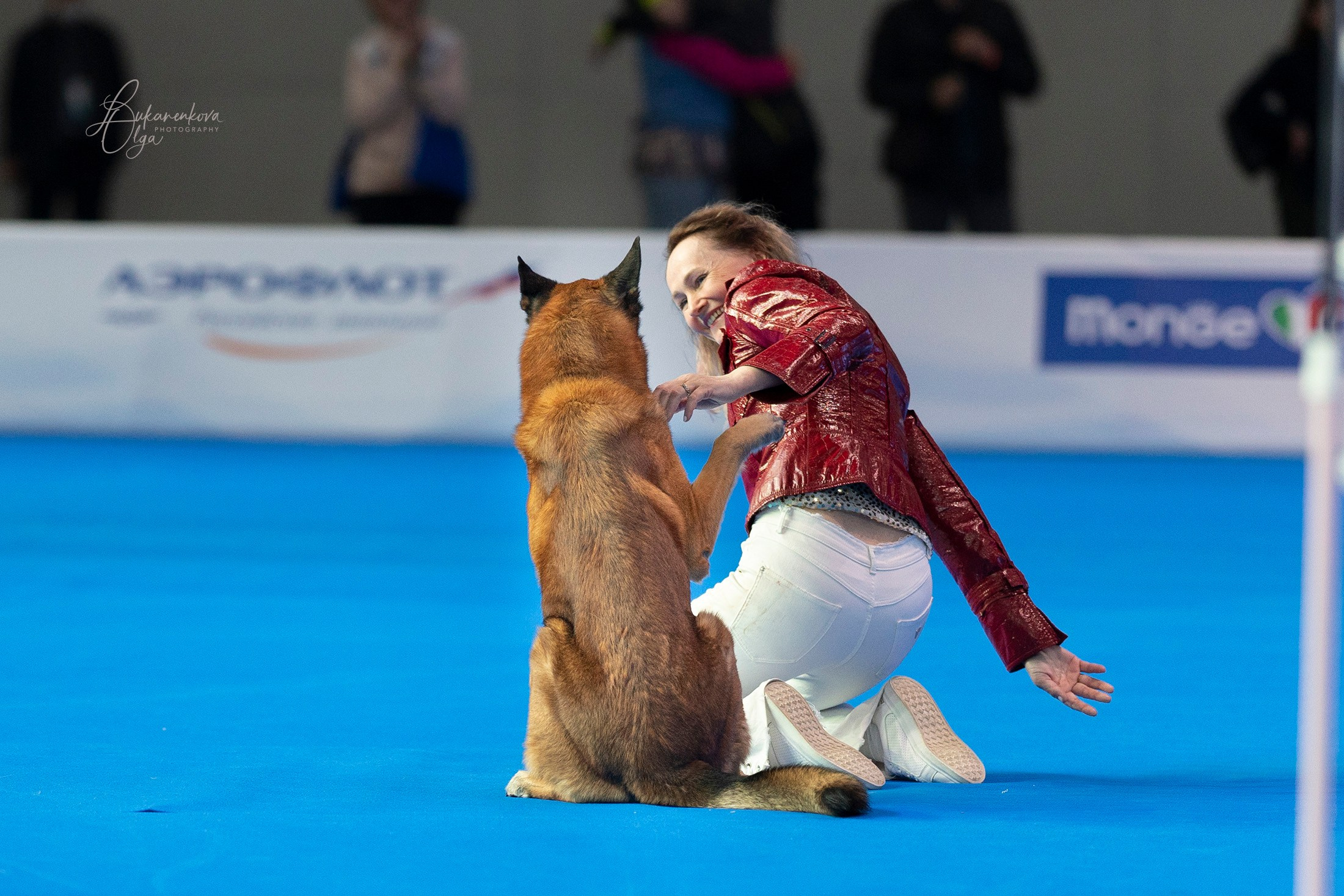 Танцы. Фотограф анималист Ольга Луканенкова в Москве