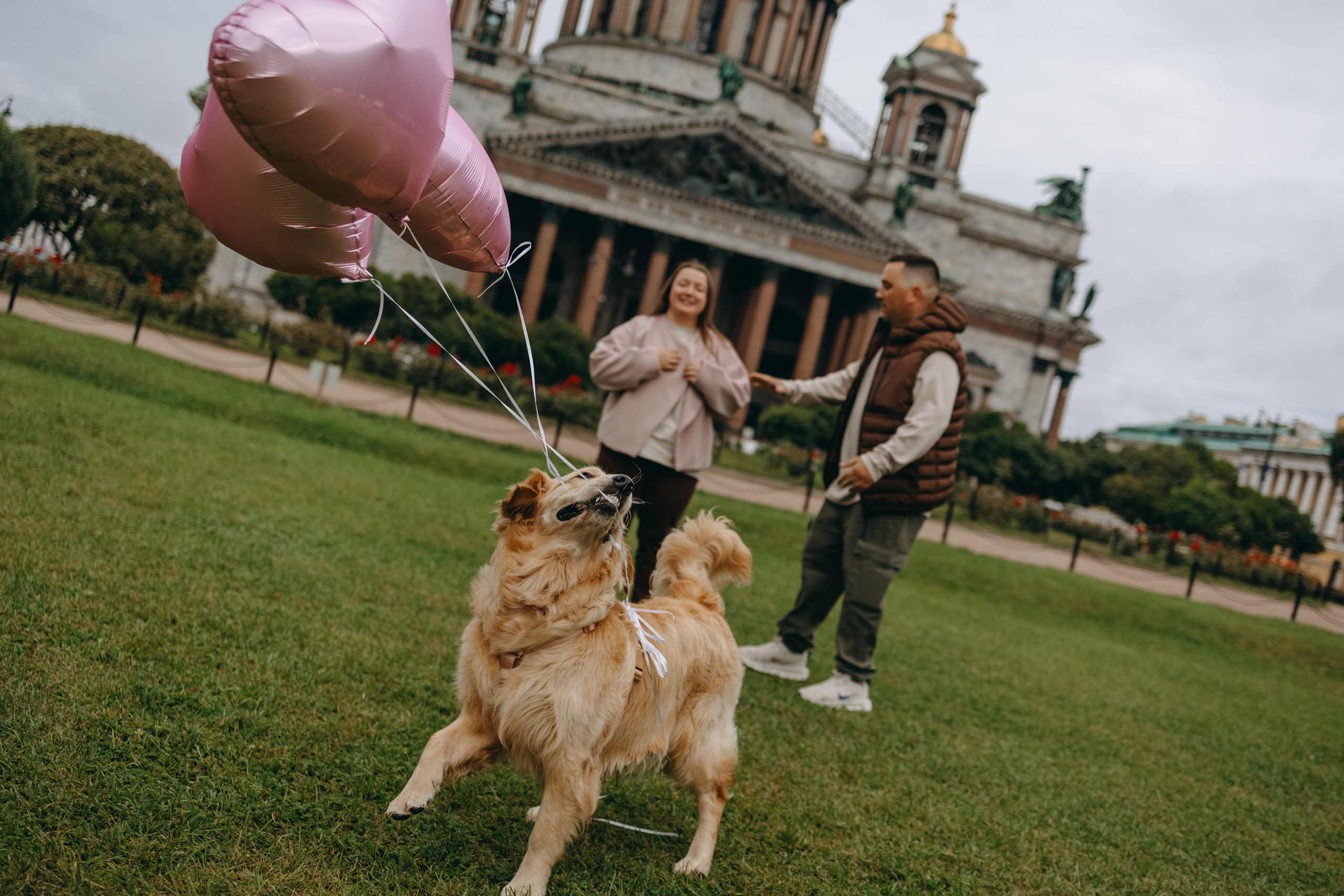 Бетти и ее семья. Фотограф — Анималист | Санкт-Петербург