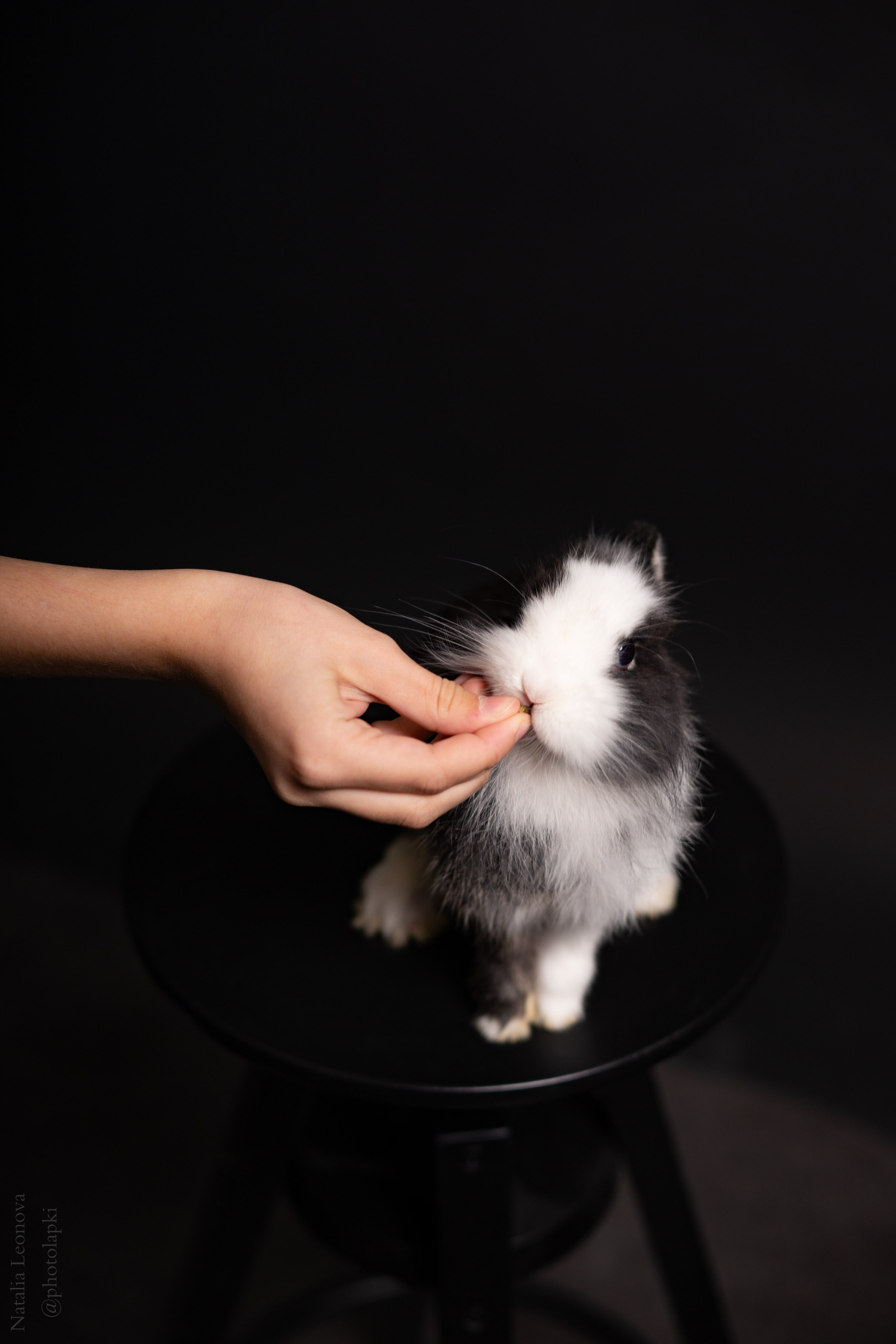 Сестры. Фотограф Наталья Леонова