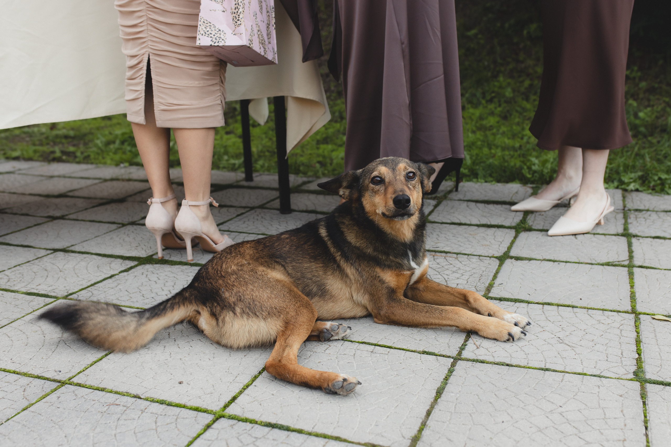 Геннадий + Елизавета. Фотограф в Севастополе и в Крыму