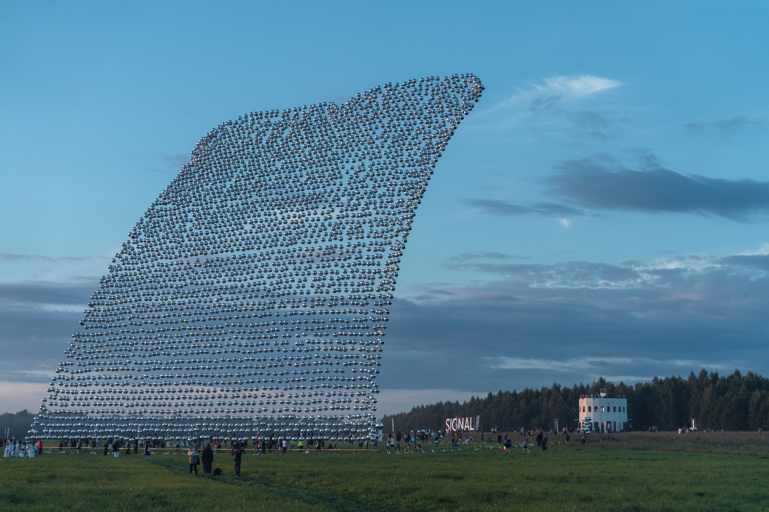 Signal 2024. @tomrus: Рустам Шагиморданов — фотограф