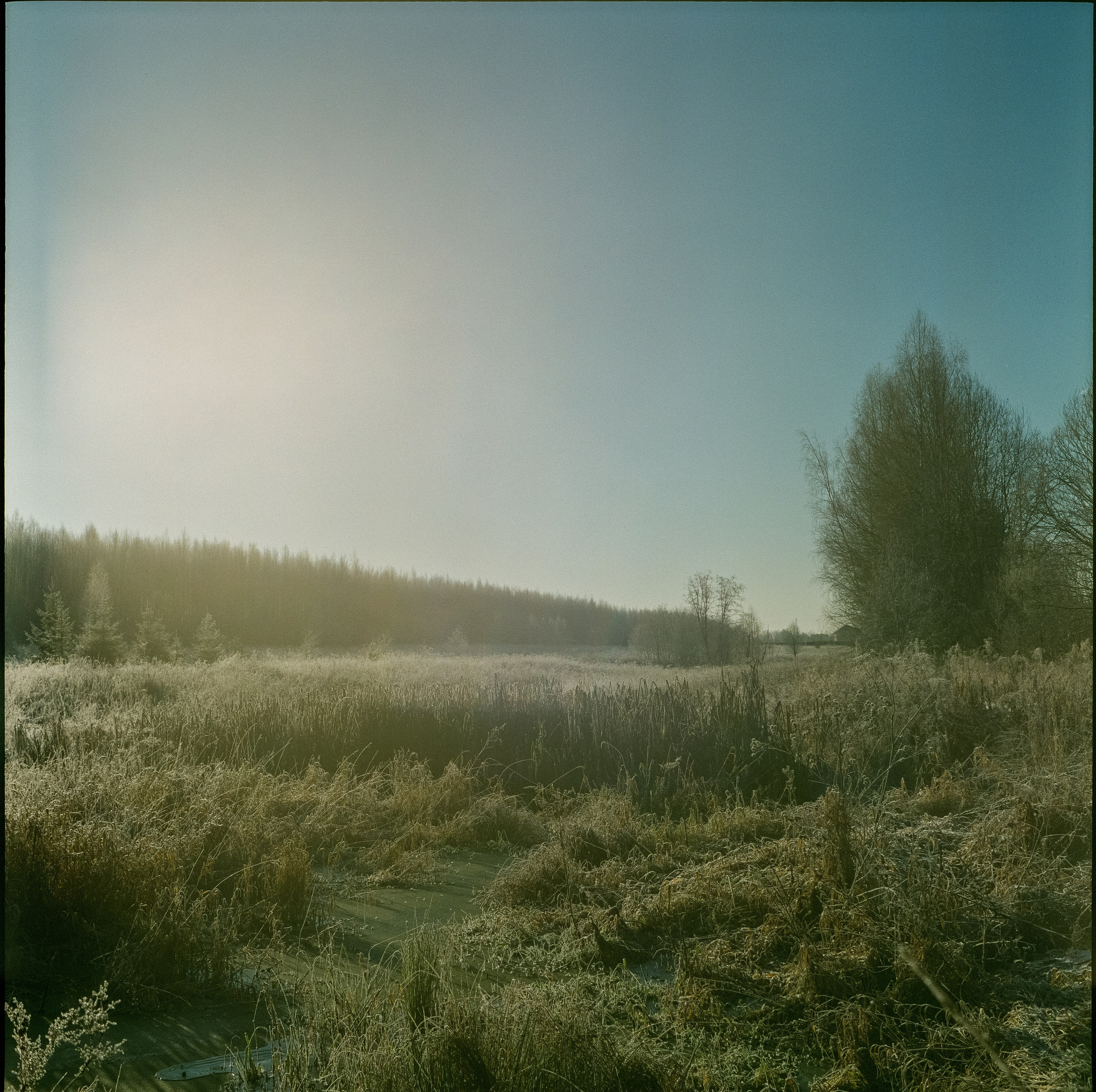 Rollop Enna Munchen Ennagon / Fujicolor PRO 400H