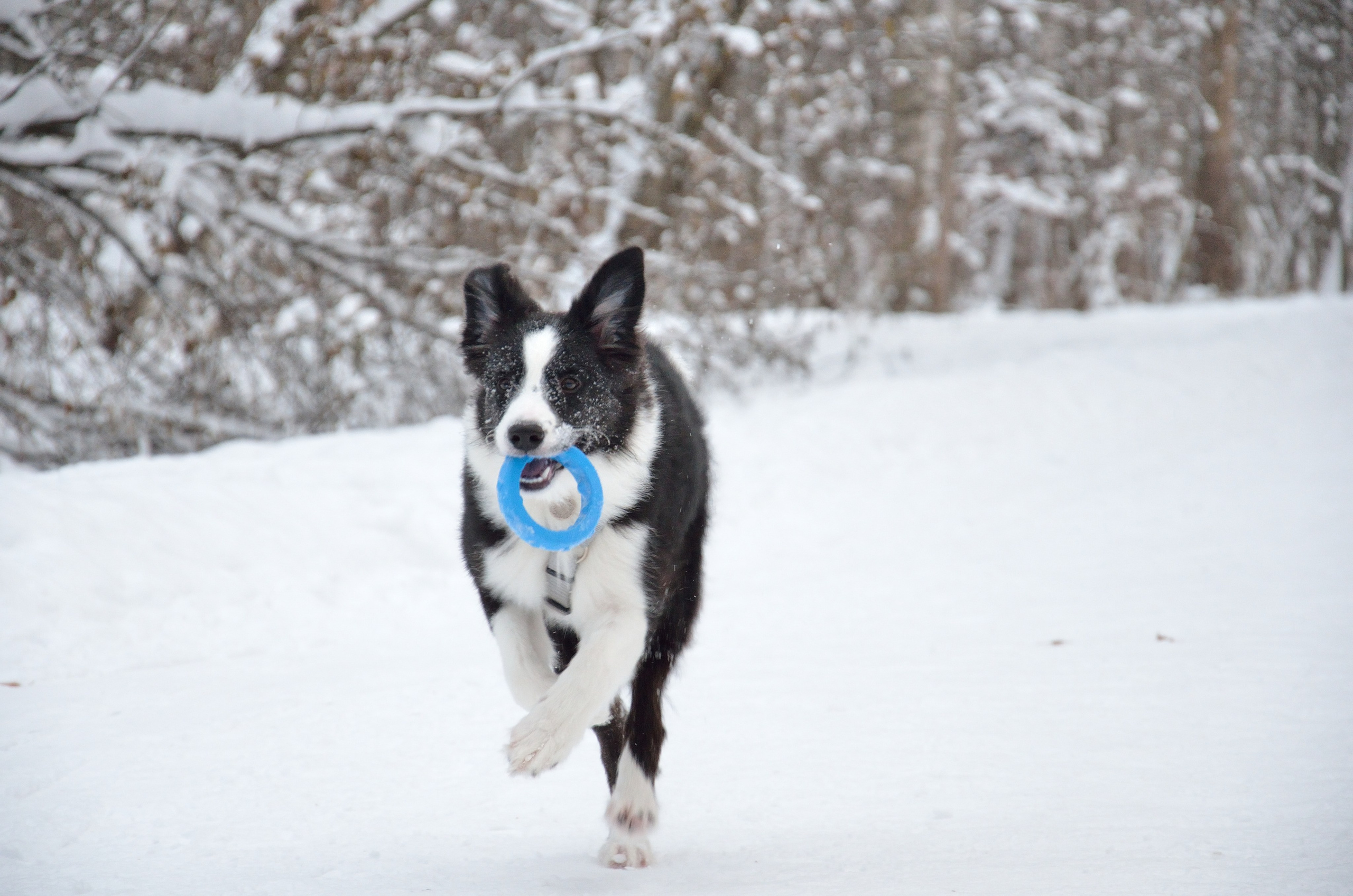 Муня. Добро пожаловать на мой сайт, меня зовут Наталия, я фотограф