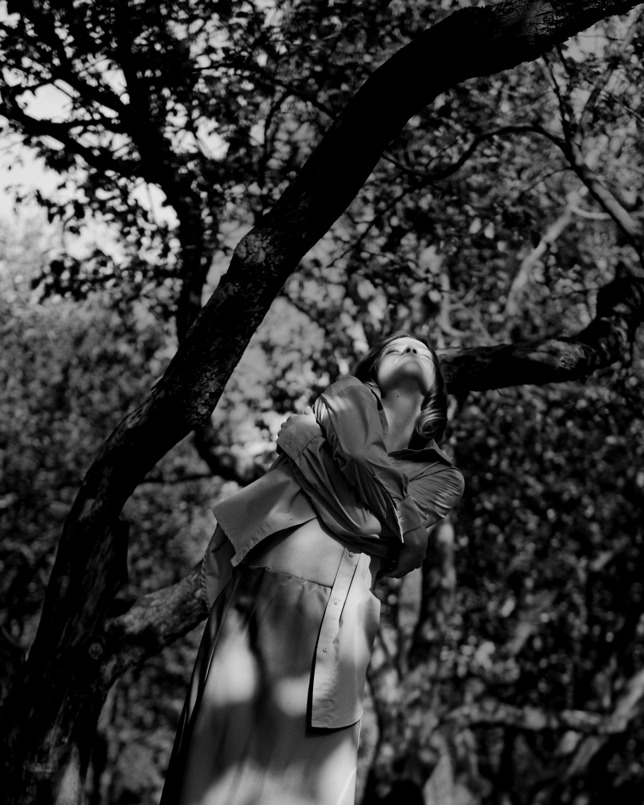 Dancing in the shade of trees