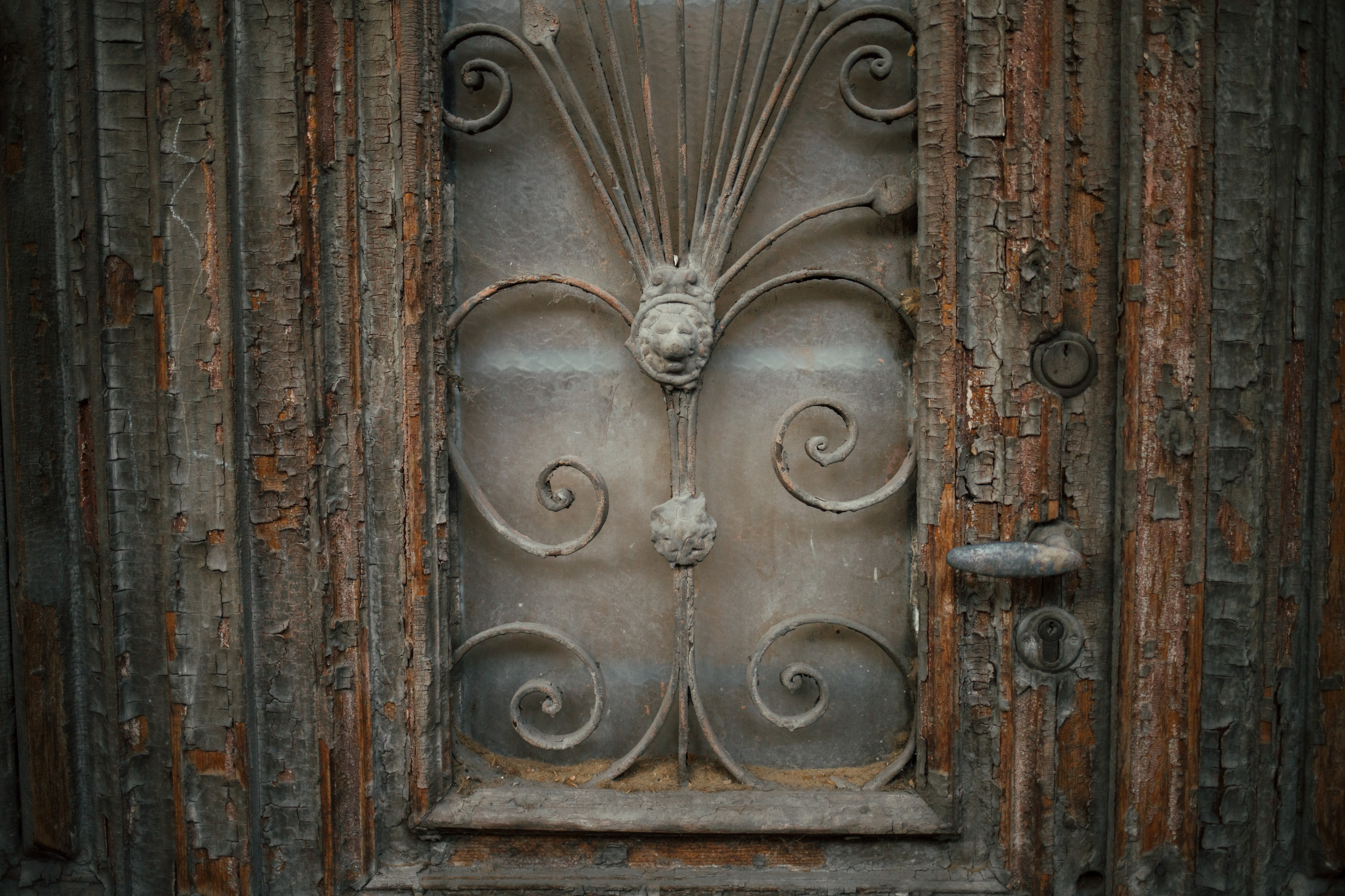 Tbilisi, Georgia. Photographer Alina Skitovich